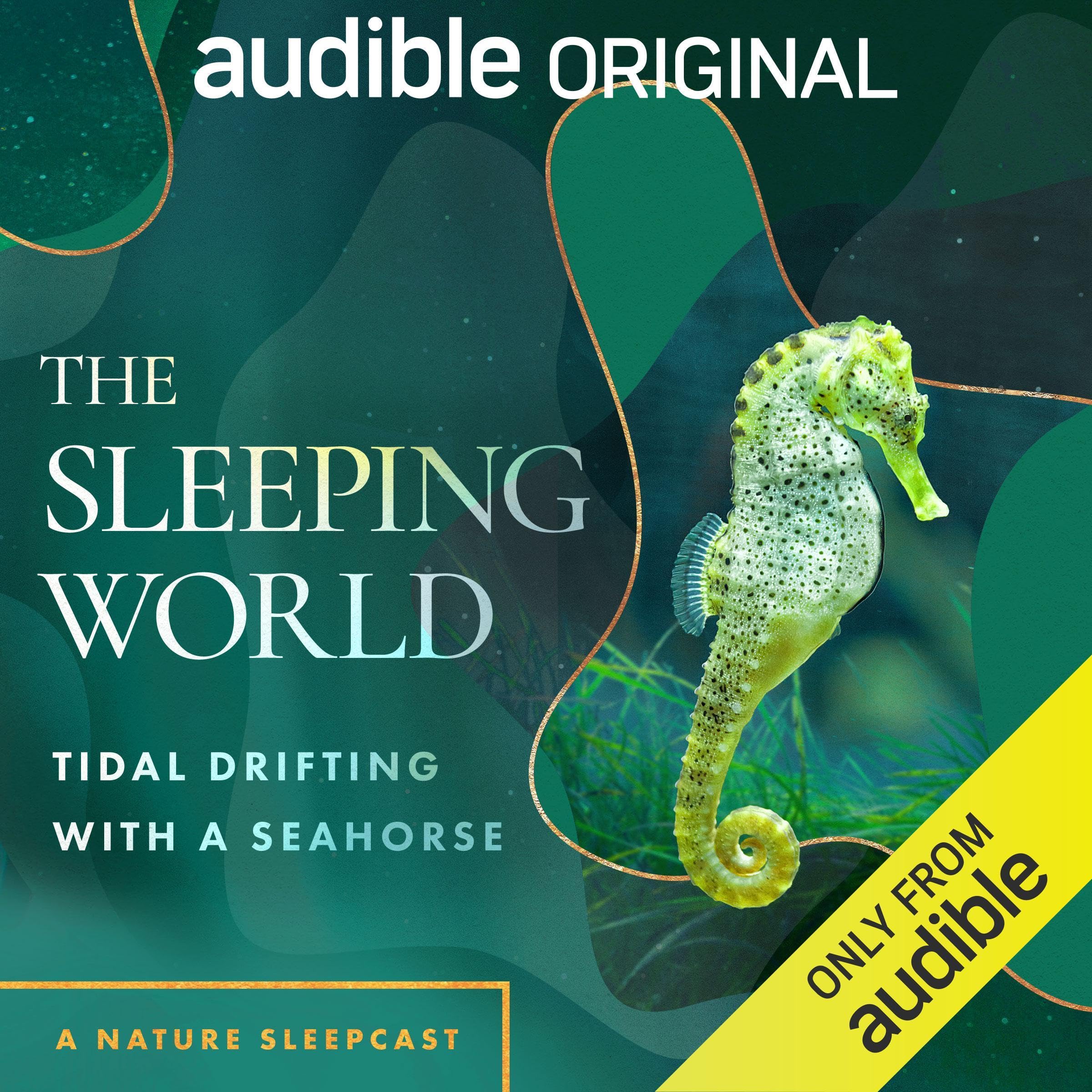 Cover art for The Sleeping World: Tidal Drifting with a Seahorse