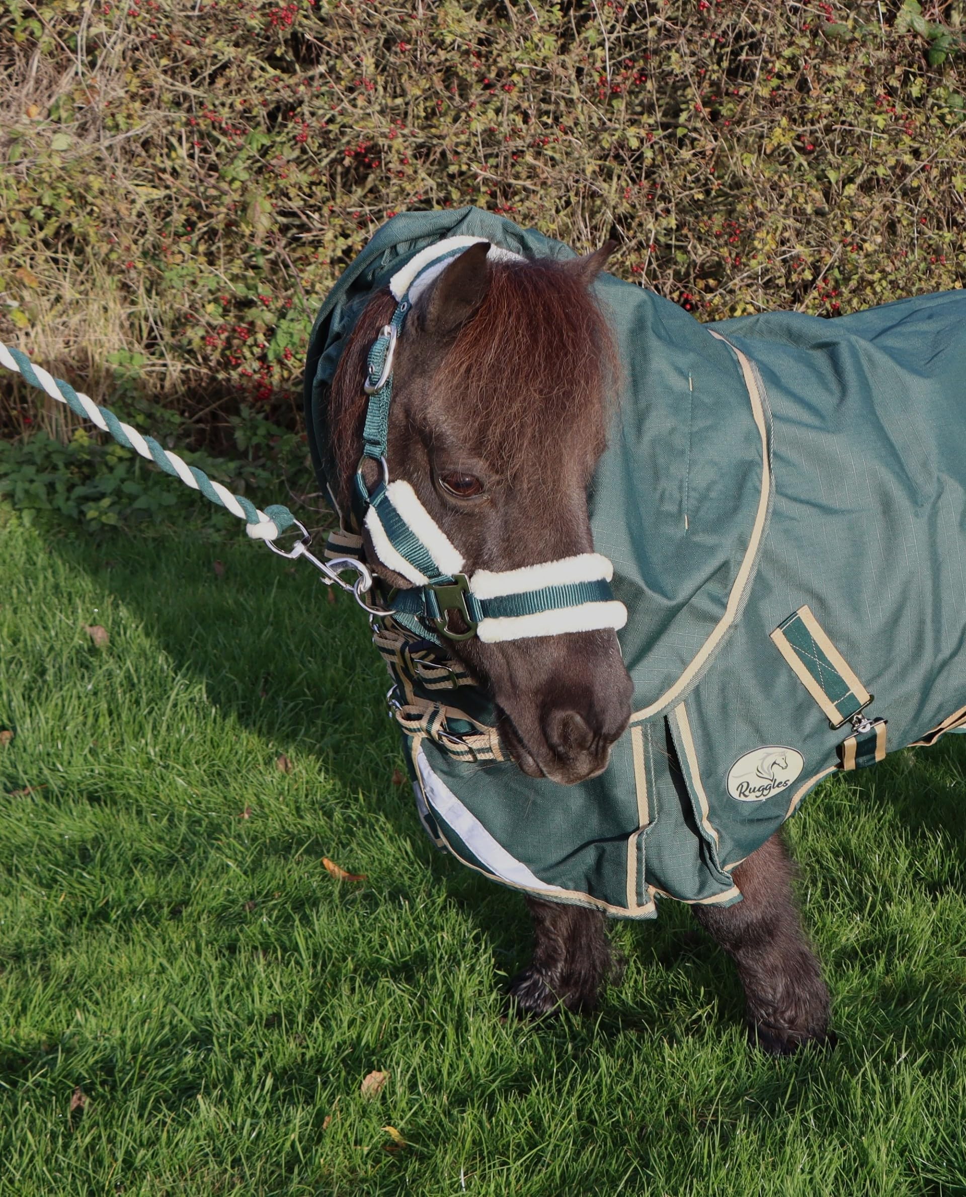 Ruggles Lightweight NECK COVER for Shetland Pony Donkey Section A Miniature Horse | No Filling | Breathable Teflon Coated Outer | Anti Rub Lining (Extra Large, Sycamore) — image 1