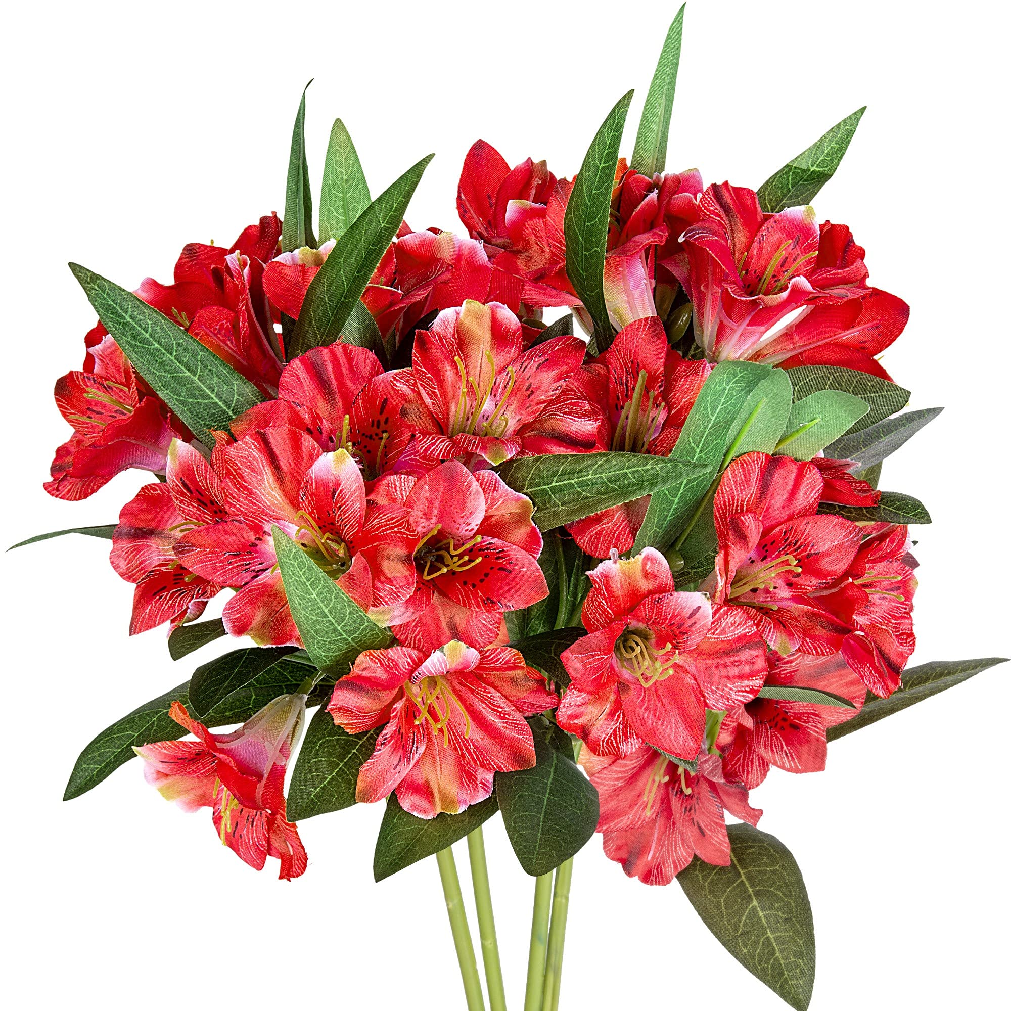 product_img5