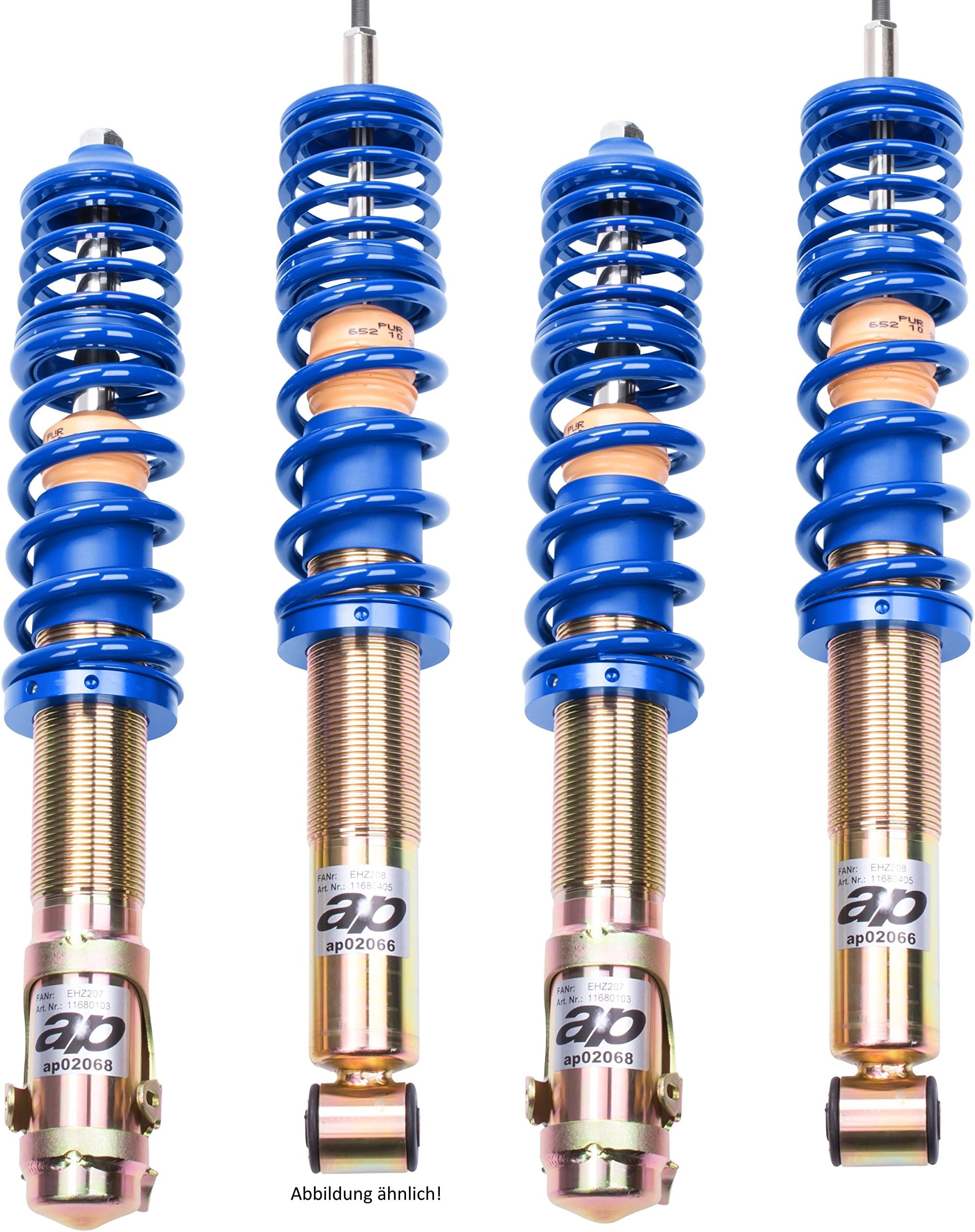 AP Coilovers (Rear + Front Axle Suspension Strut GF80 125 _ 2 Dt 50 mm Front Axle 965kg)