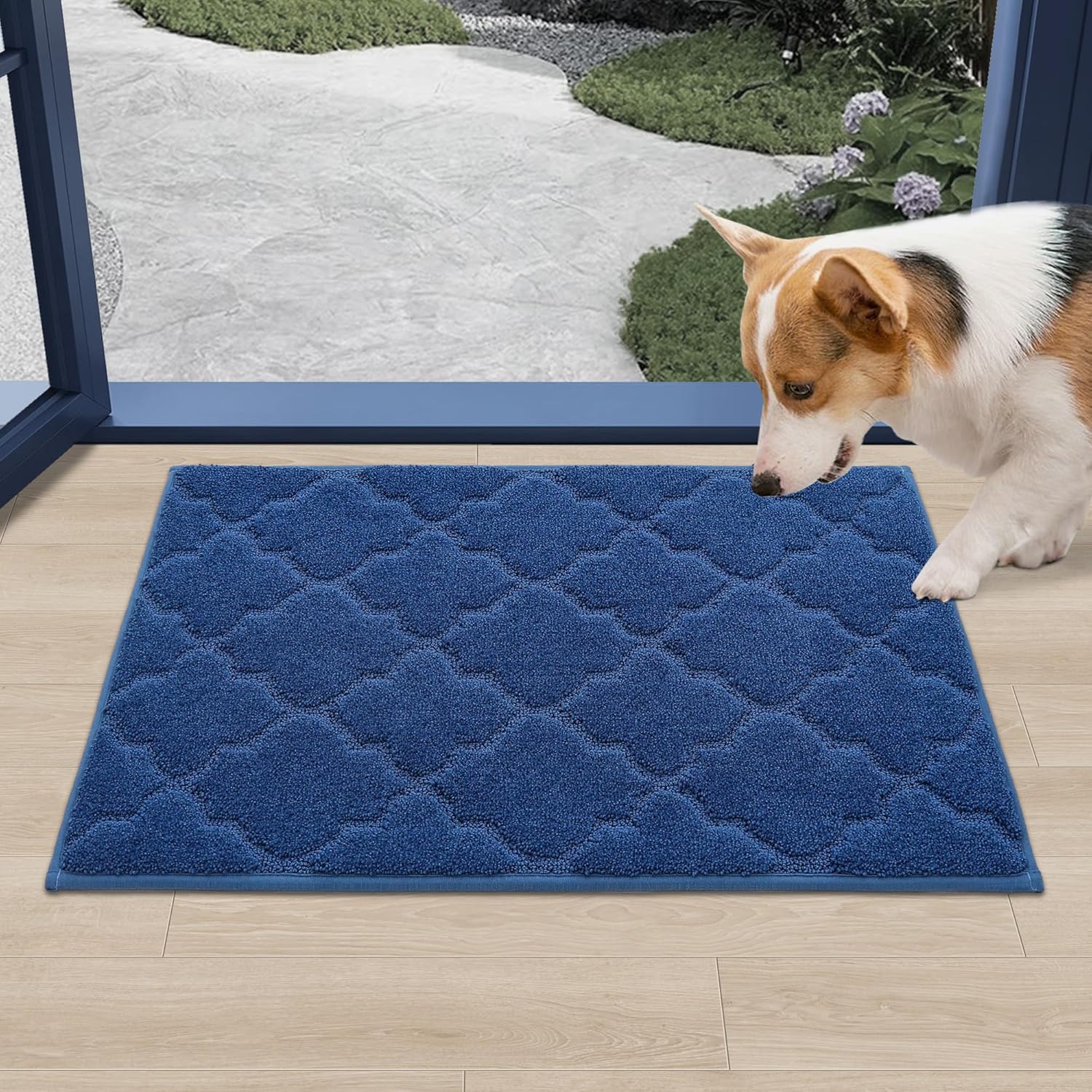 COSY HOMEER Door Mat Non-Slip Entryway Mats for Indoor Use, Absorbent Doormat for Front Door, Washable Low Profile Entrance Mat,20"x32",Blue