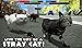Stray Cat Simulator