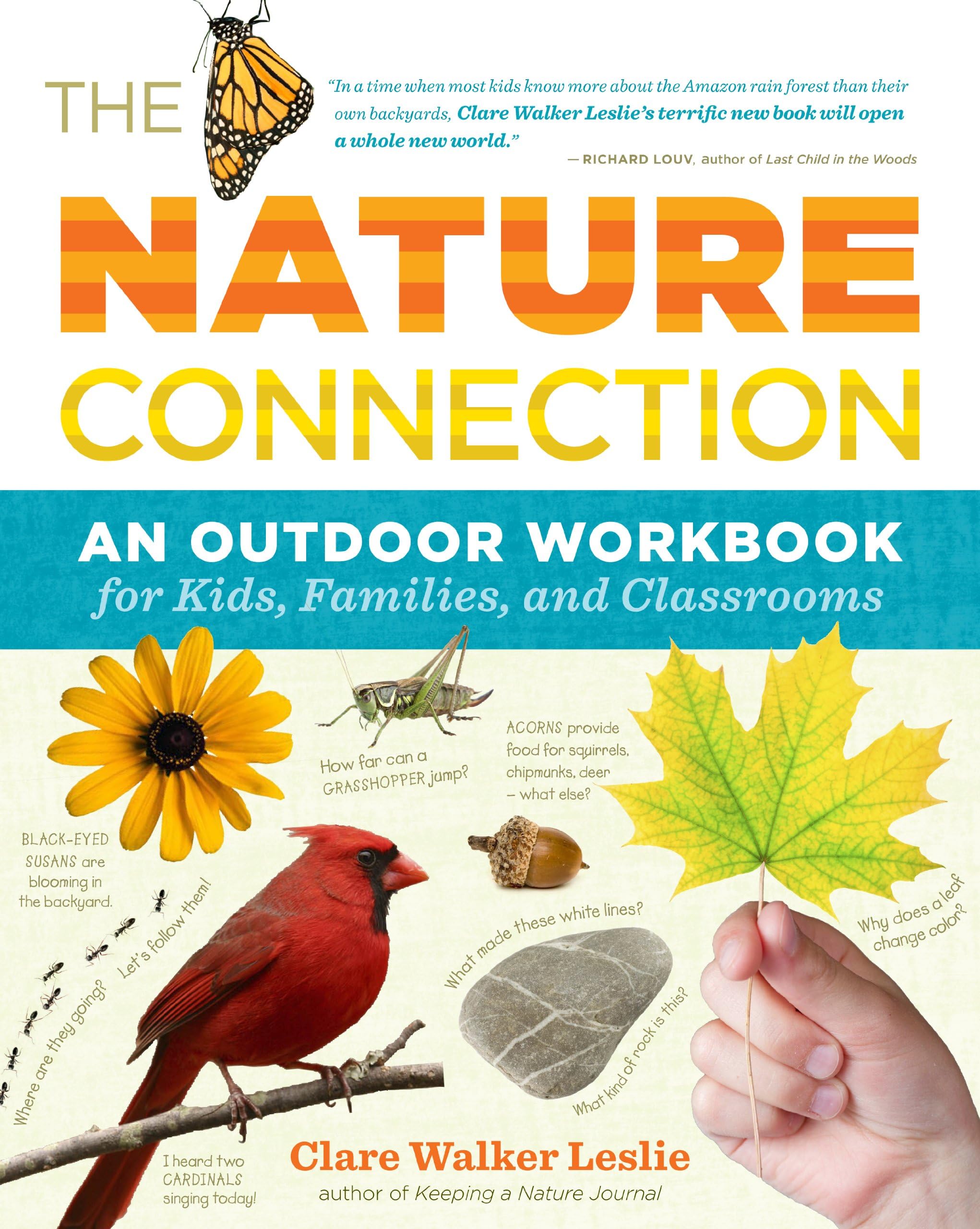 NATURE CONNECTION OUTDOOR WORKBK Paperback – Illustrated, 14 August 2010