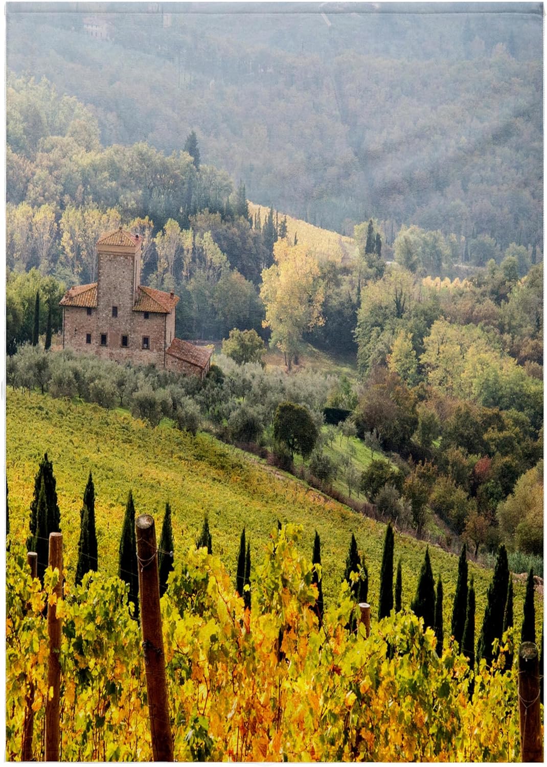 3dRose Italy, Tuscany. Vineyard in Autumn in the Chianti Region of Tuscany. 22x30 Bath Hand Pool Towel
