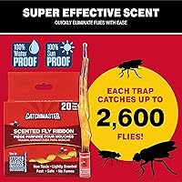 Vista 6 de Catchmaster Paquete de 12 trampas para moscas, paquete de 12 y cinta para moscas, paquete de 20 trampas para insectos y moscas para interiores