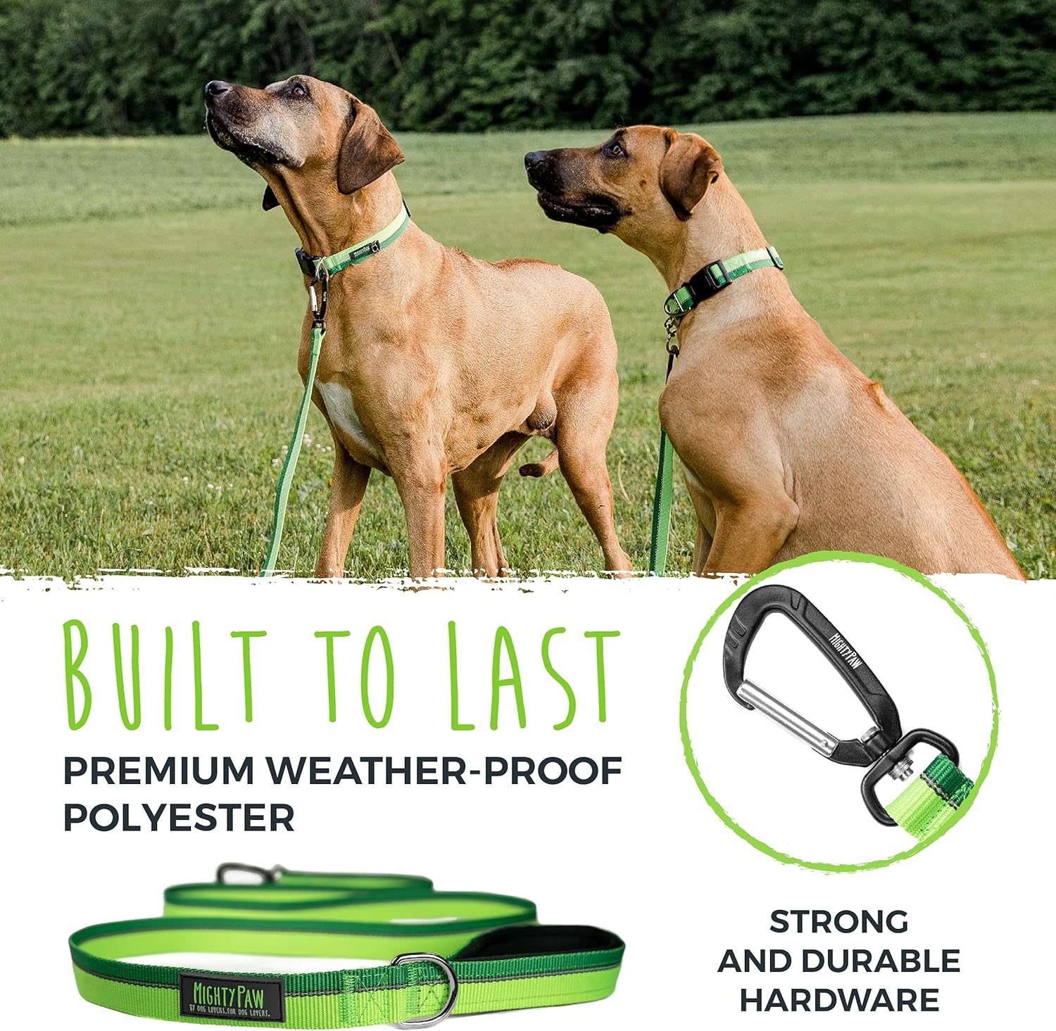 Mighty Paw Standard Dog Leash | 6 Foot Dog Lead with Soft Padded Handle. Bonus D-Ring and Strong Carabiner Clip for Pullers. High Visibility Weatherproof Pet Leash with Reflective Stitching (Green) : Pet Supplies