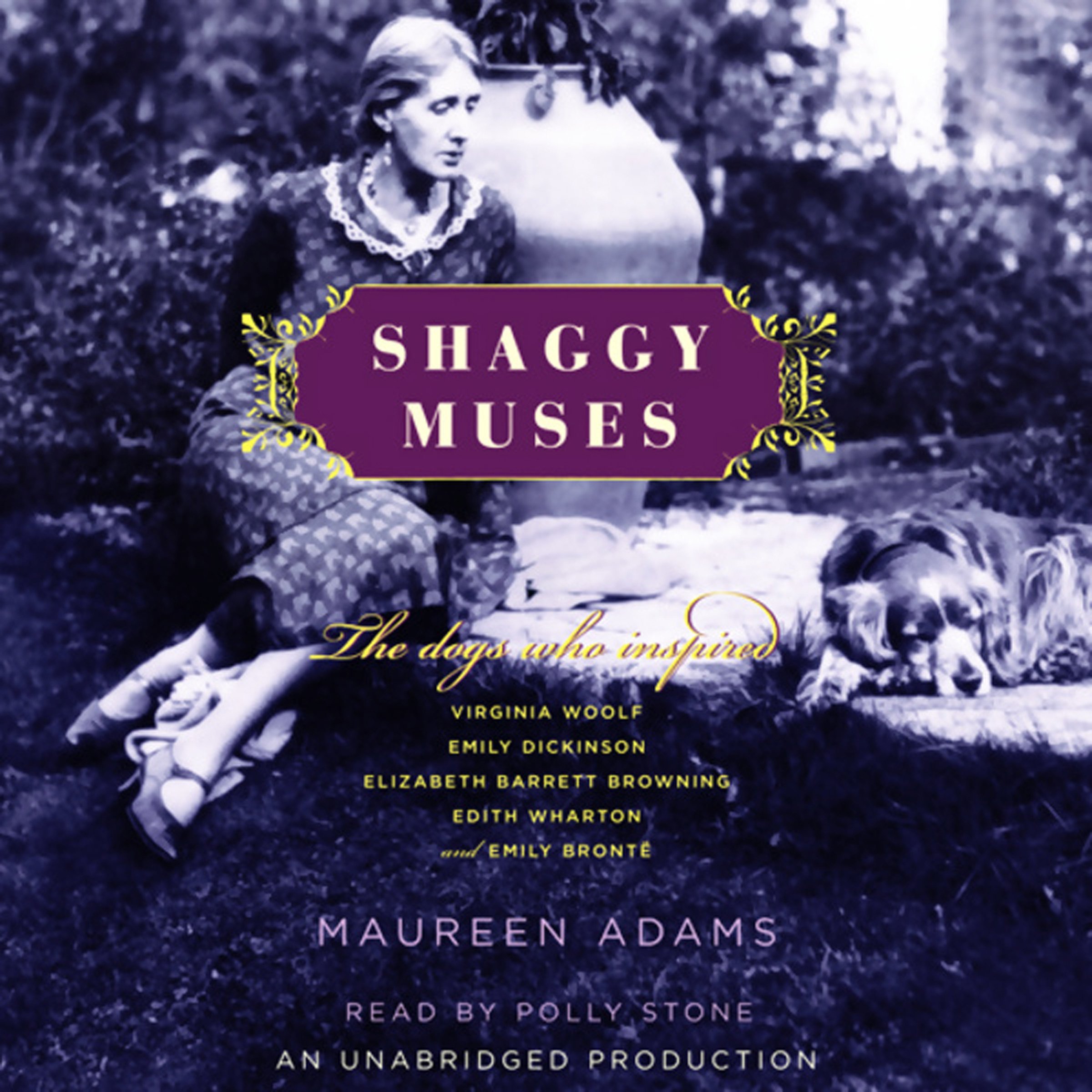 Cover art for Shaggy Muses