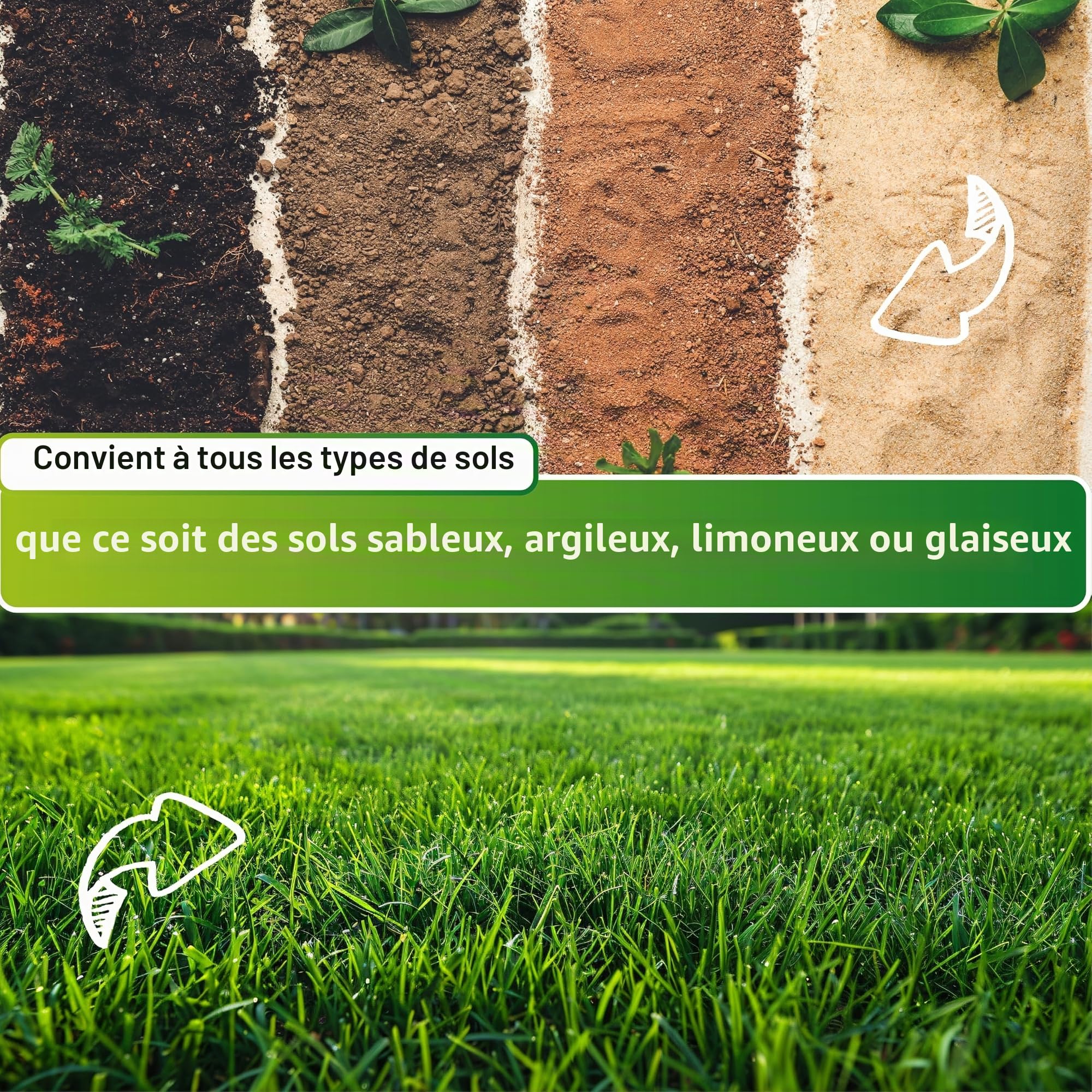 Greenyp® Ultimate - Gazon ombragé RSM de qualité supérieure avec 100 % d'herbes RSM - 5 kg pour 200 m² - Graines de gazon pour les endroits ombragés et secs