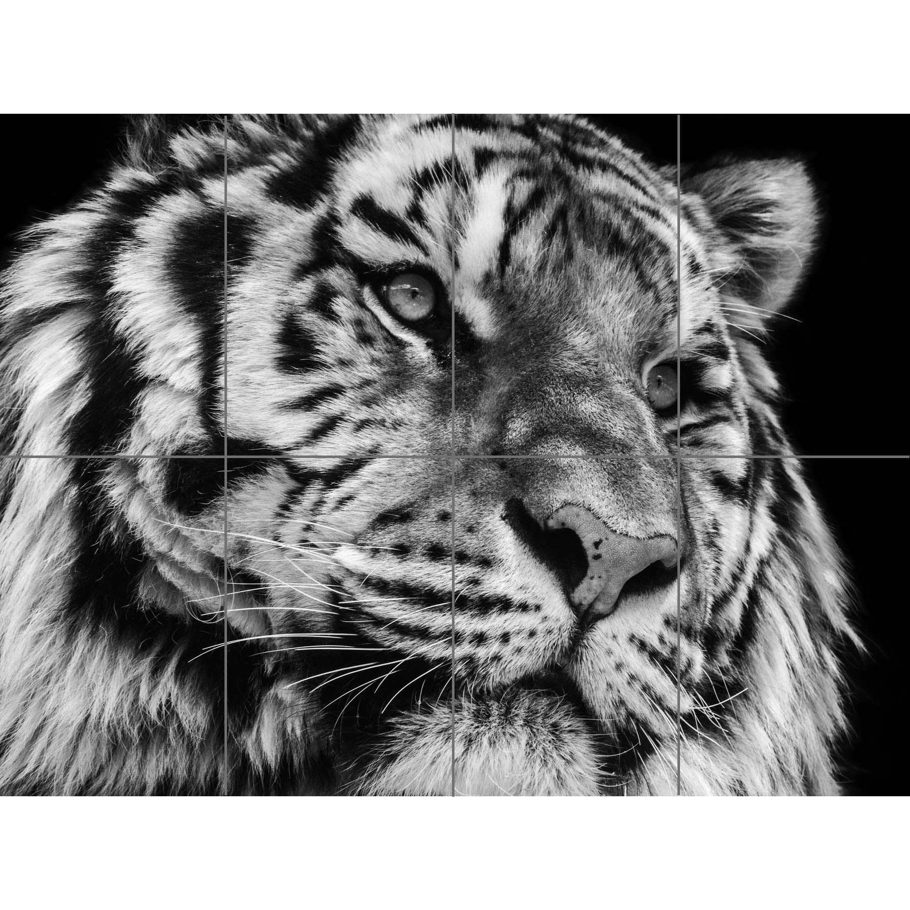 Artery8 Tiger Close Up Photograph XL Giant Panel Poster (8 Sections)