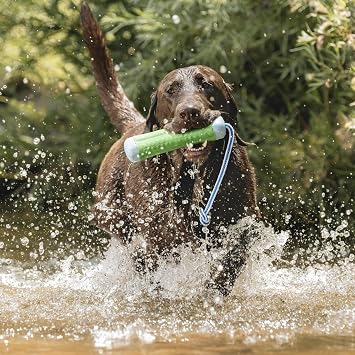 Chuckit! Amphibious Bumper Dog Fetch Toy, Small, Floats, for Water Play