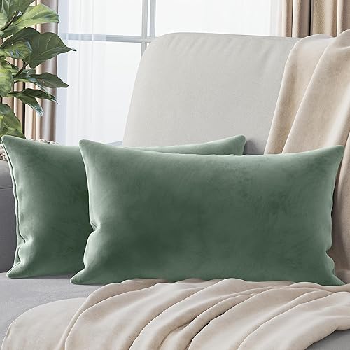 NEATERIZE Juego de 2 fundas de almohada de terciopelo de alta calidad de 12 x 20 pulgadas, color verde salvia, fundas de almohada de tela decorativa