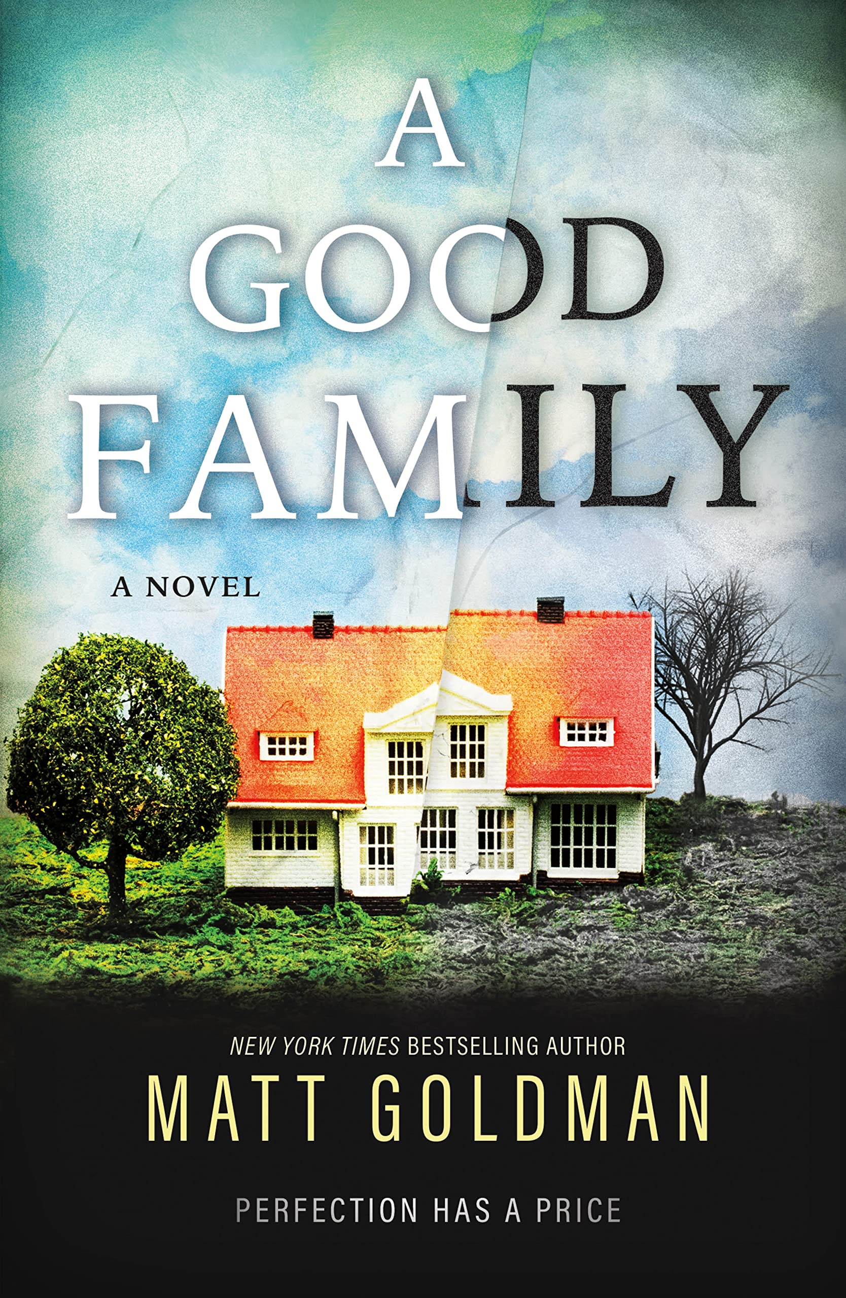 Buy A Good Family: A Novel — BookShops.in