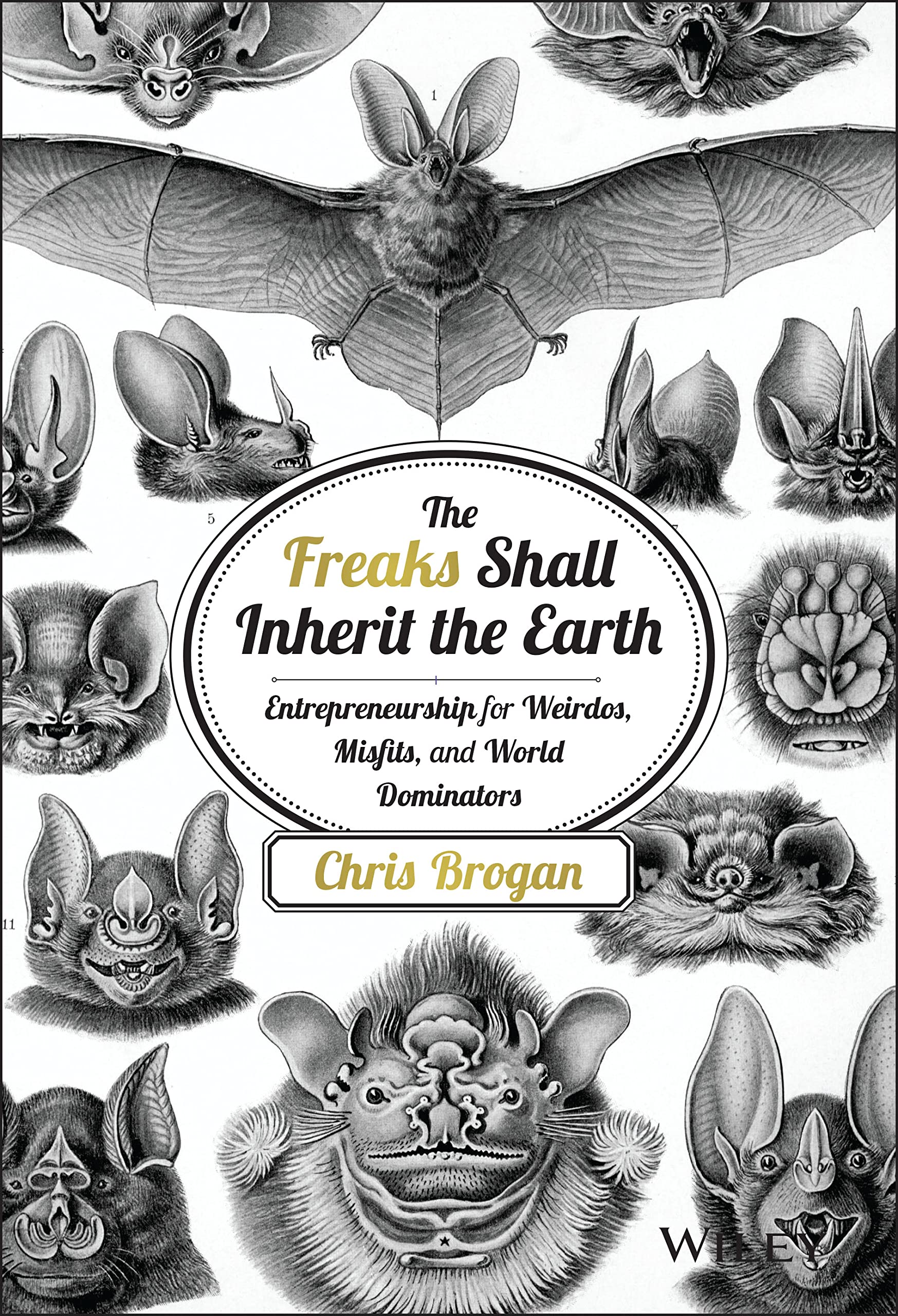 The Freaks Shall Inherit the Earth: Entrepreneurship for Weirdos, Misfits, and World Dominators Hardcover – Import, 13 June 2014