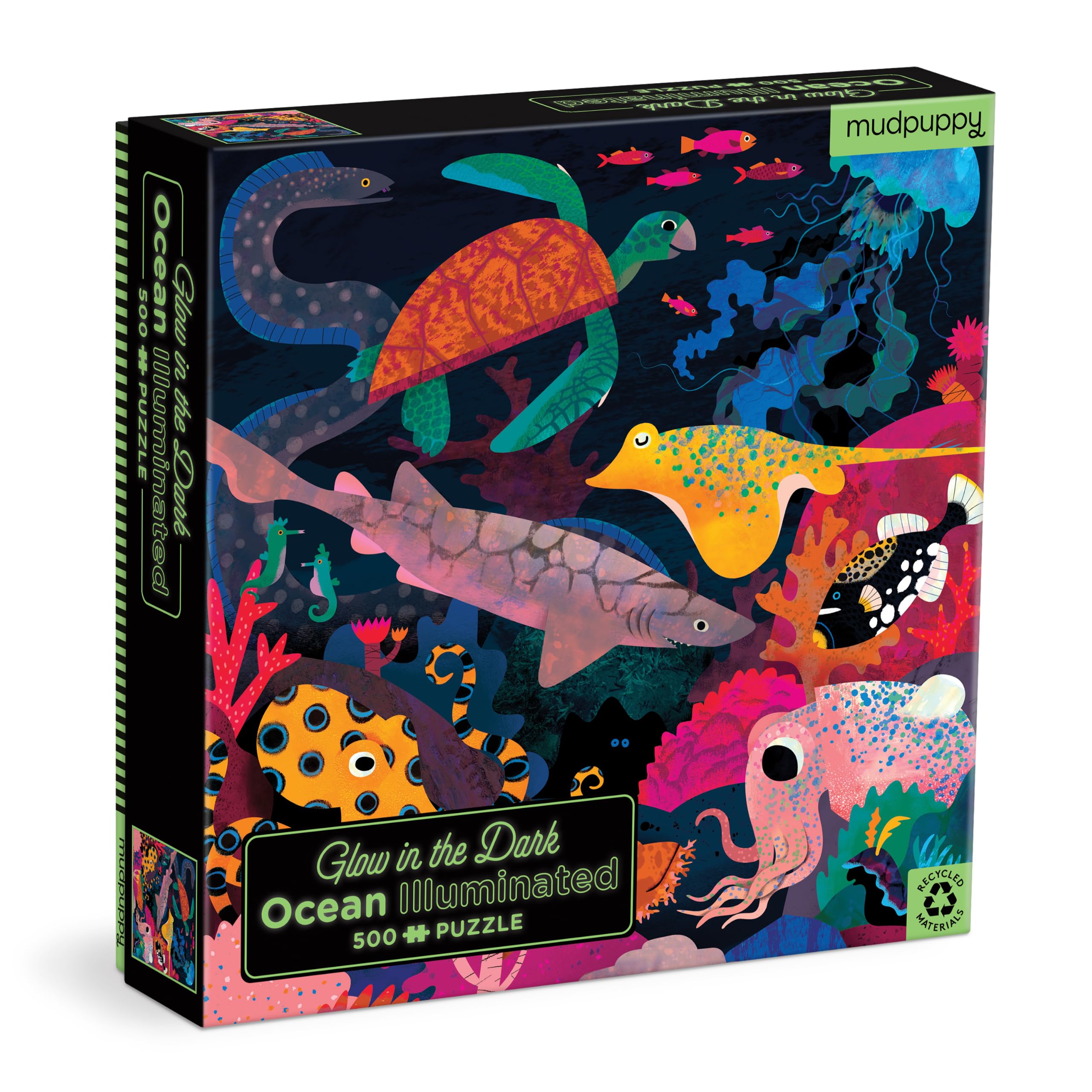 OCEAN ILLUMINATED 500 PC GLOW IN THE DAR : Durley, Natasha: Amazon