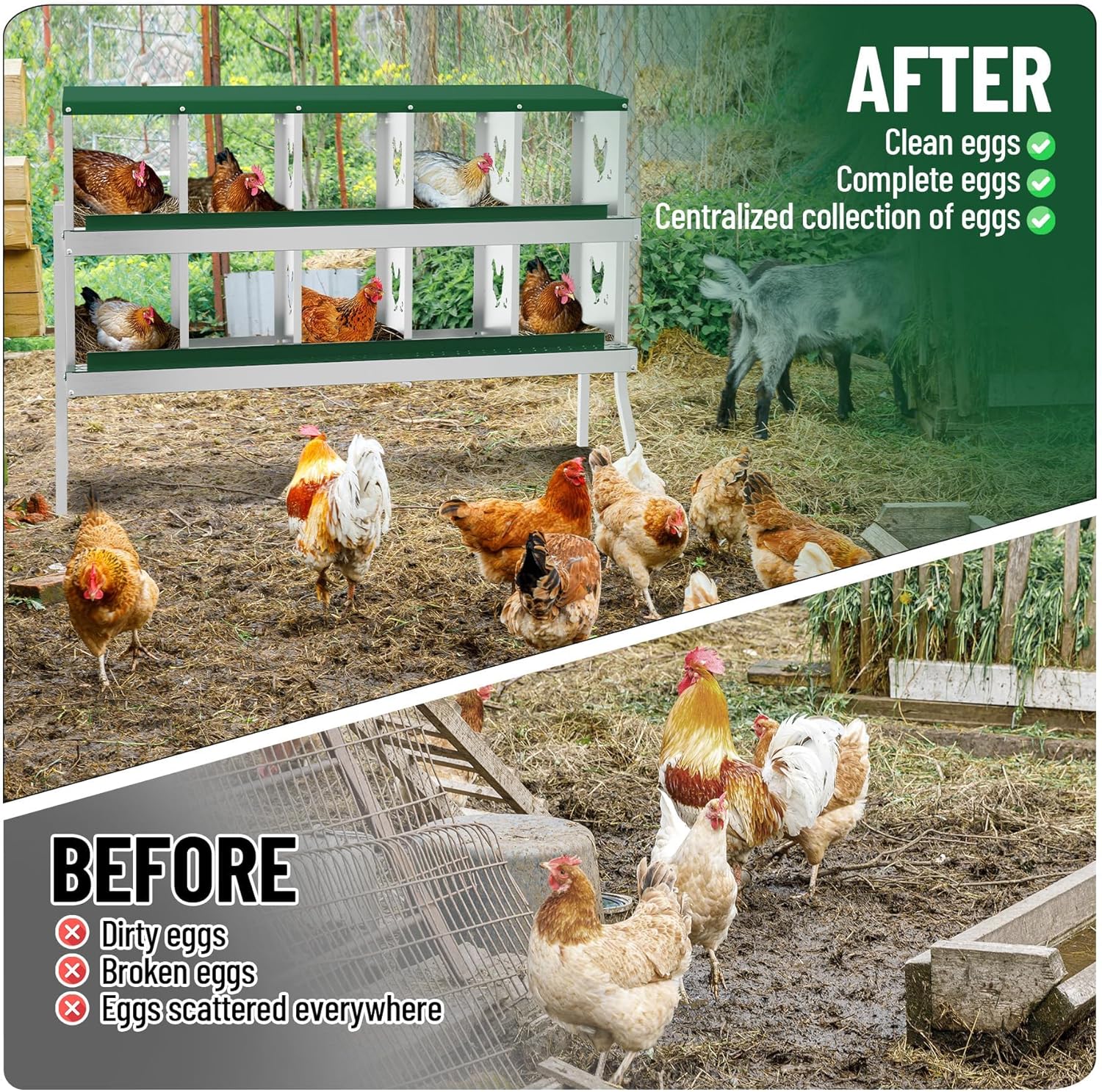 10-Compartment Metal Chicken Nesting Box - with Perch, Secure Lid & Metal Legs, Wall-Mount or Free-Standing Nesting Boxes for Hens