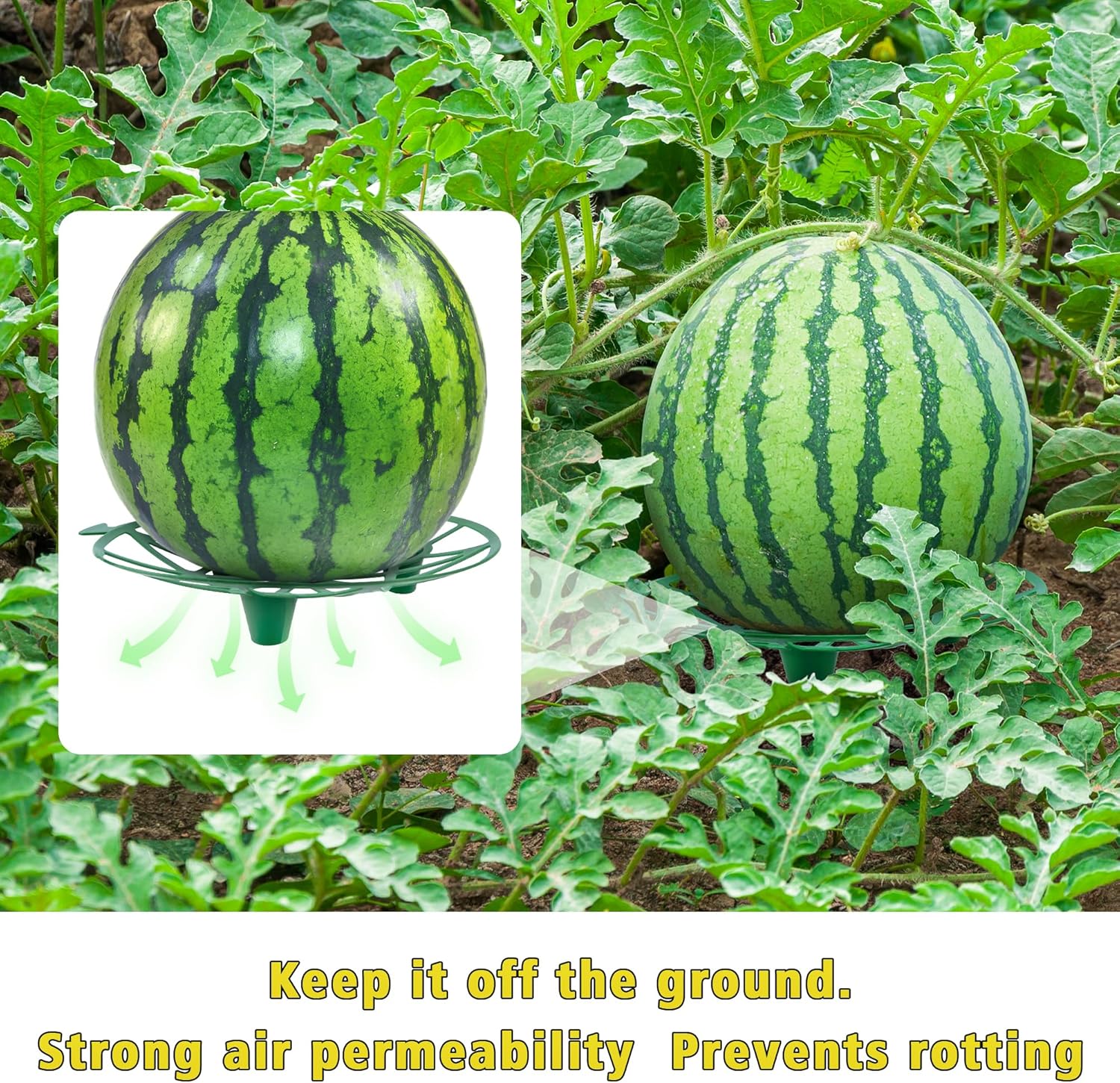 Plant Melon Supports Cages Cradles Trellis for Watermelon, Cantaloupe, Pumpkins, Strawberries Avoid Ground Rot (10, Light grenn)