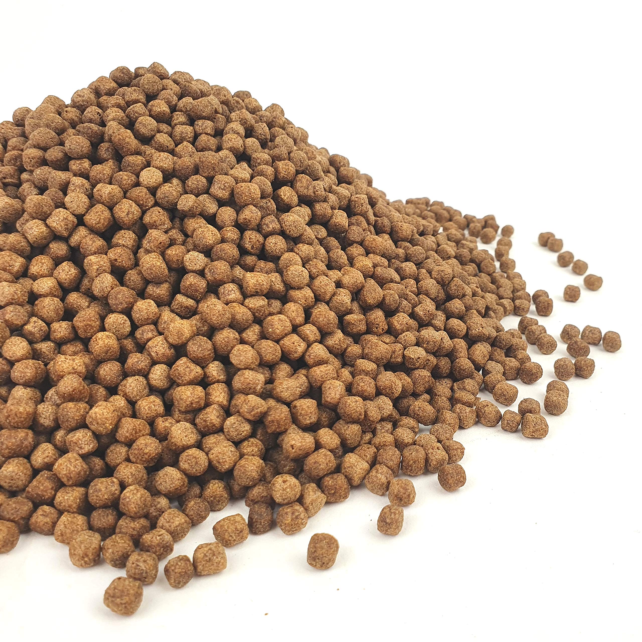 The Aqua Shack Wheatgerm Pond Pellets Floating Large 6mm - Winter Fish Food Koi Goldfish Tench Carp (500g)