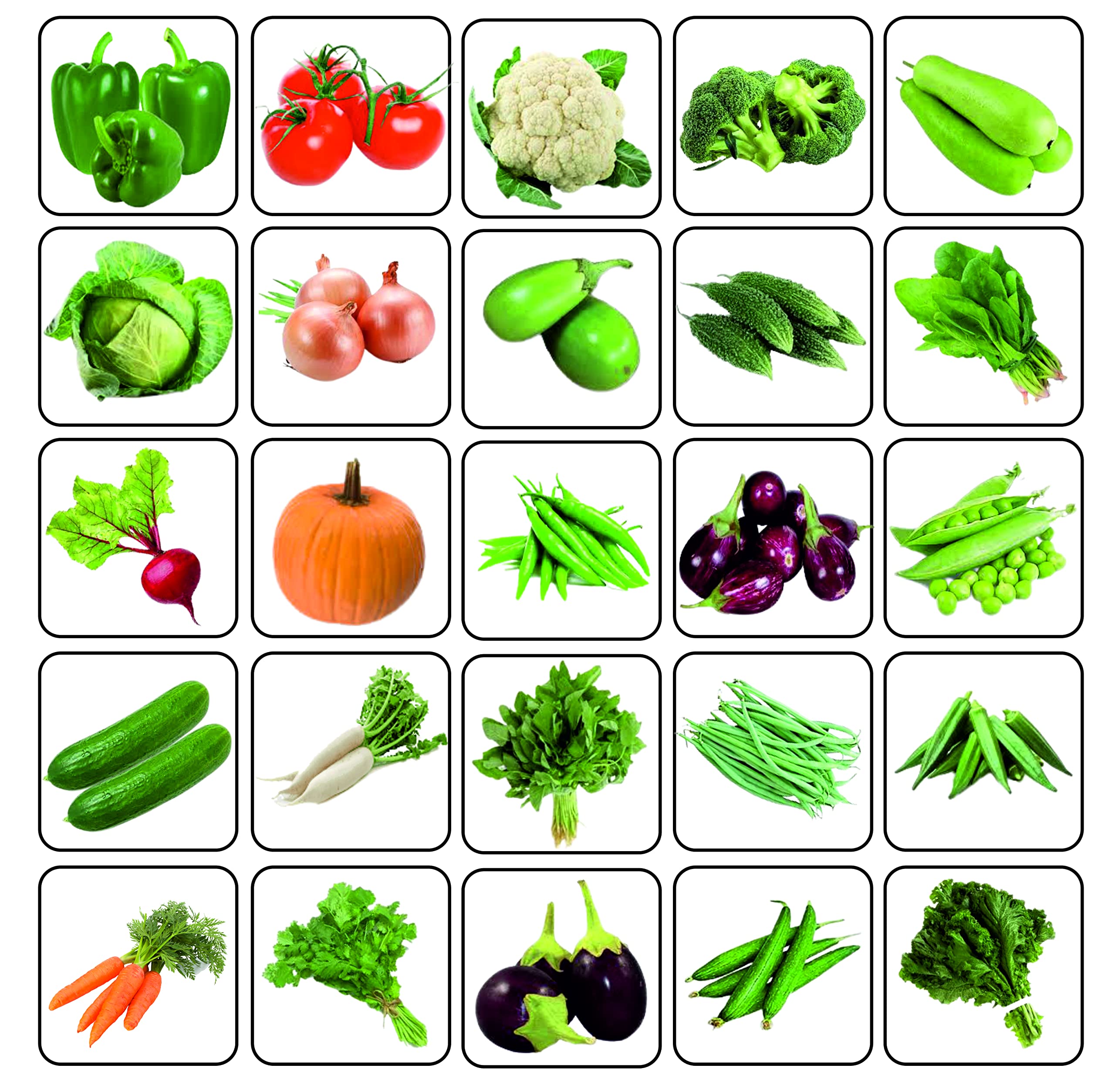 Karmbhoomi Vegetable Seeds Combo Pack, 25 Varieties of Vegetables seeds, Best for Home & Kitchen Garden (25 Varieties 1200 + seeds) (B0BB9P3K62) Amazon Price History, Amazon Price Tracker