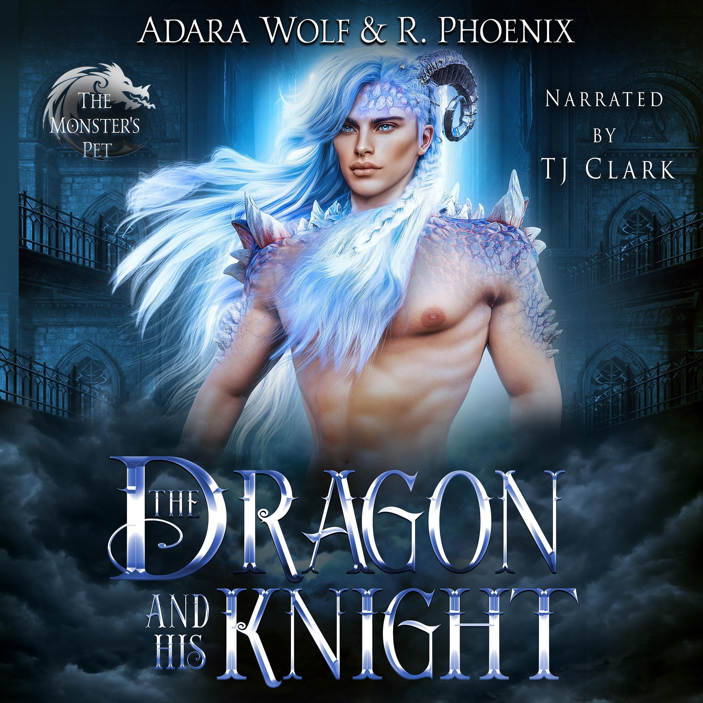 Cover art for The Dragon and His Knight