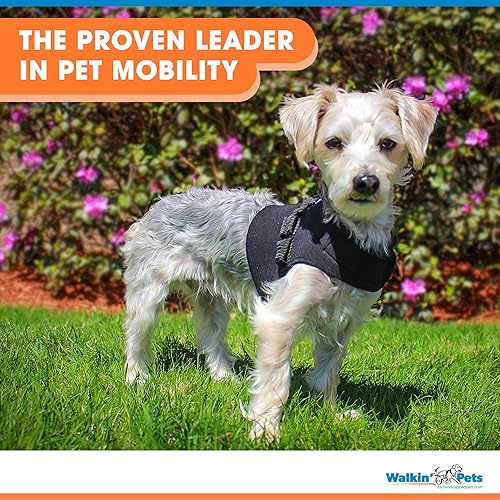 Miniatura 7 de Arnés de chaleco delantero para perro, arnés sin tirones, diseñado para perros pequeños con pechos anchos, compatible con silla de ruedas para perro