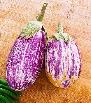eggplantページ Hybrid-Long-Tapered-Eggplant-