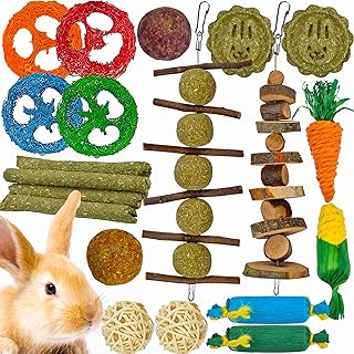 Ousiya 21er-Pack Kaninchenspielzeug-Set, Hasenspielzeug Beschäftigung und Kauspielzeug für Kaninchen, Hamster, Meerschweinchen und Chinchillas, Apfel Holz Lieschgras Sticks für Kleintiere Zahnen product image