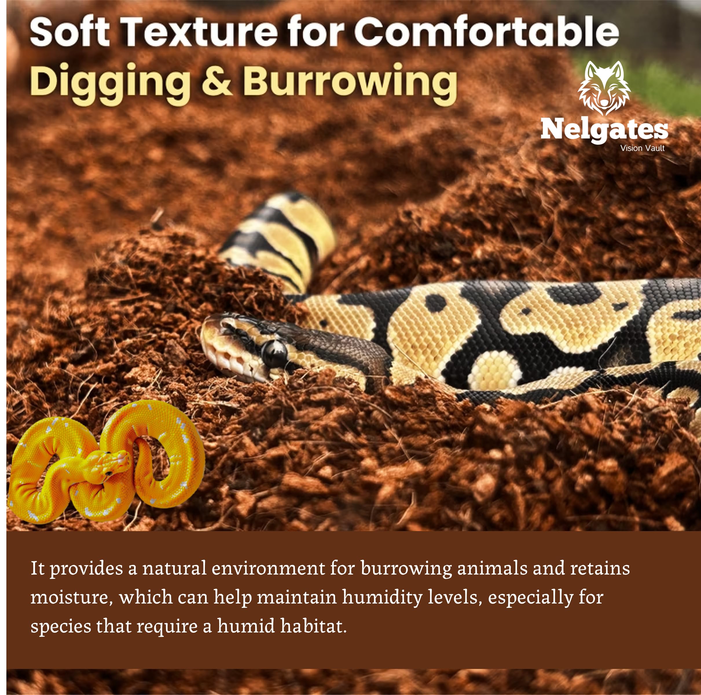 Nelgates Reptile Coconut chip Bedding 650g Organic Coco Husk Block for Snake Habitat, Ball Python Terrarium,Tortoise Enclosure 2