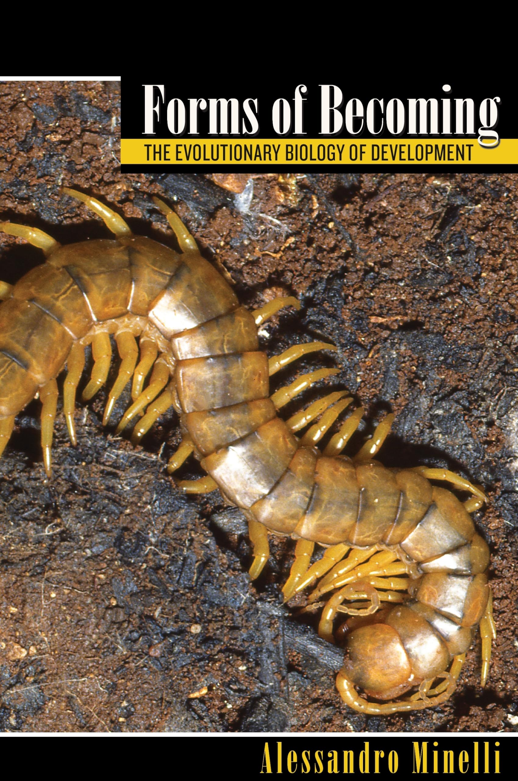 Buy Forms of Becoming: The Evolutionary Biology of Development — BookShops.in
