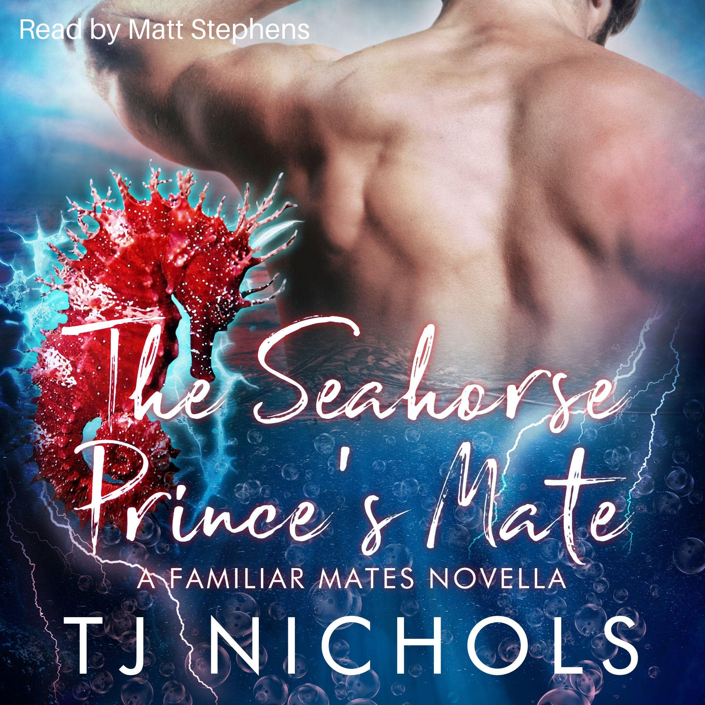 Cover art for The Seahorse Prince's Mate