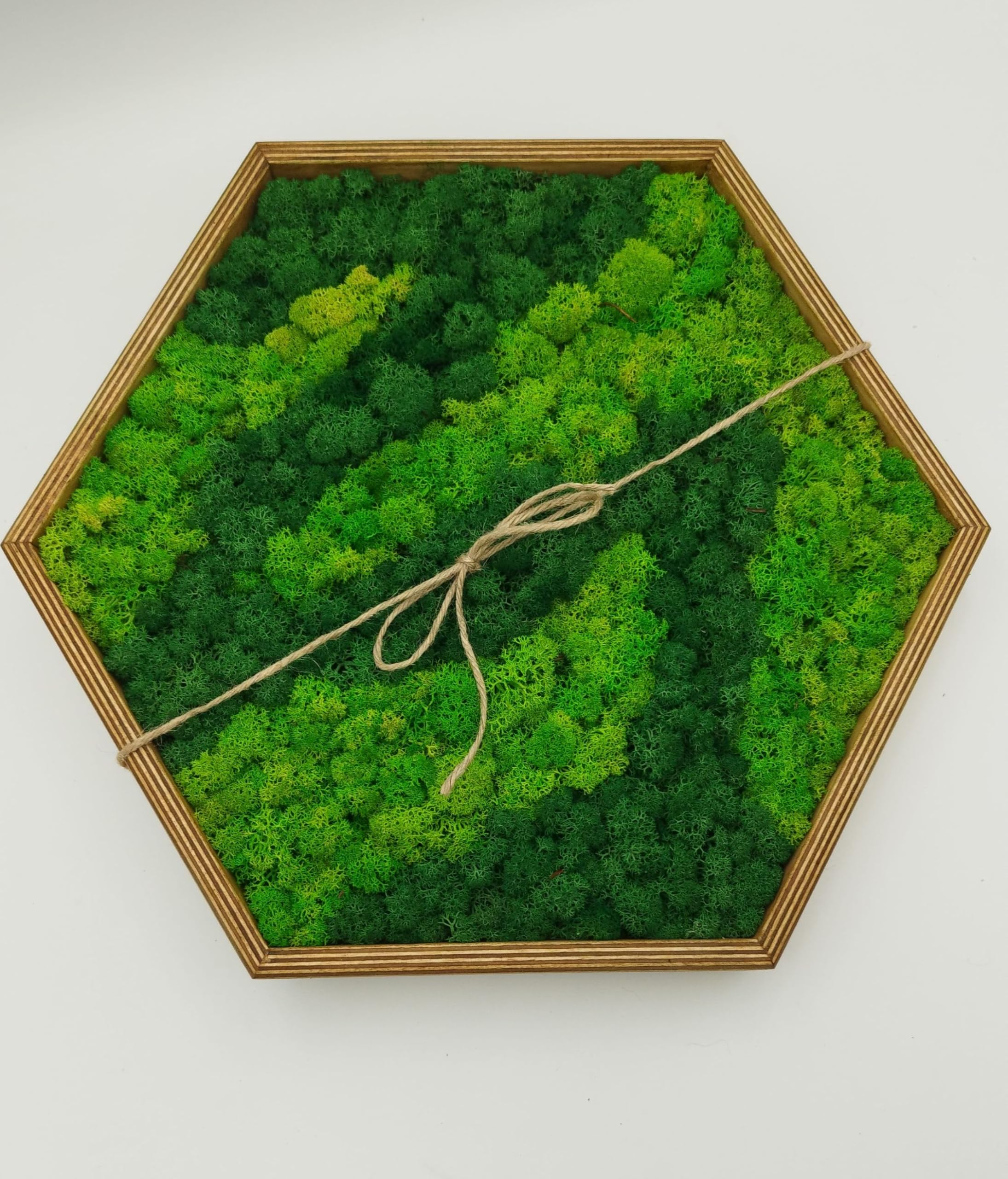 LoveLasy Bicolor Moos Wandbild Hexagon für Zuhause und Büro, Moosbild, stabilisiertes Moos (groß)