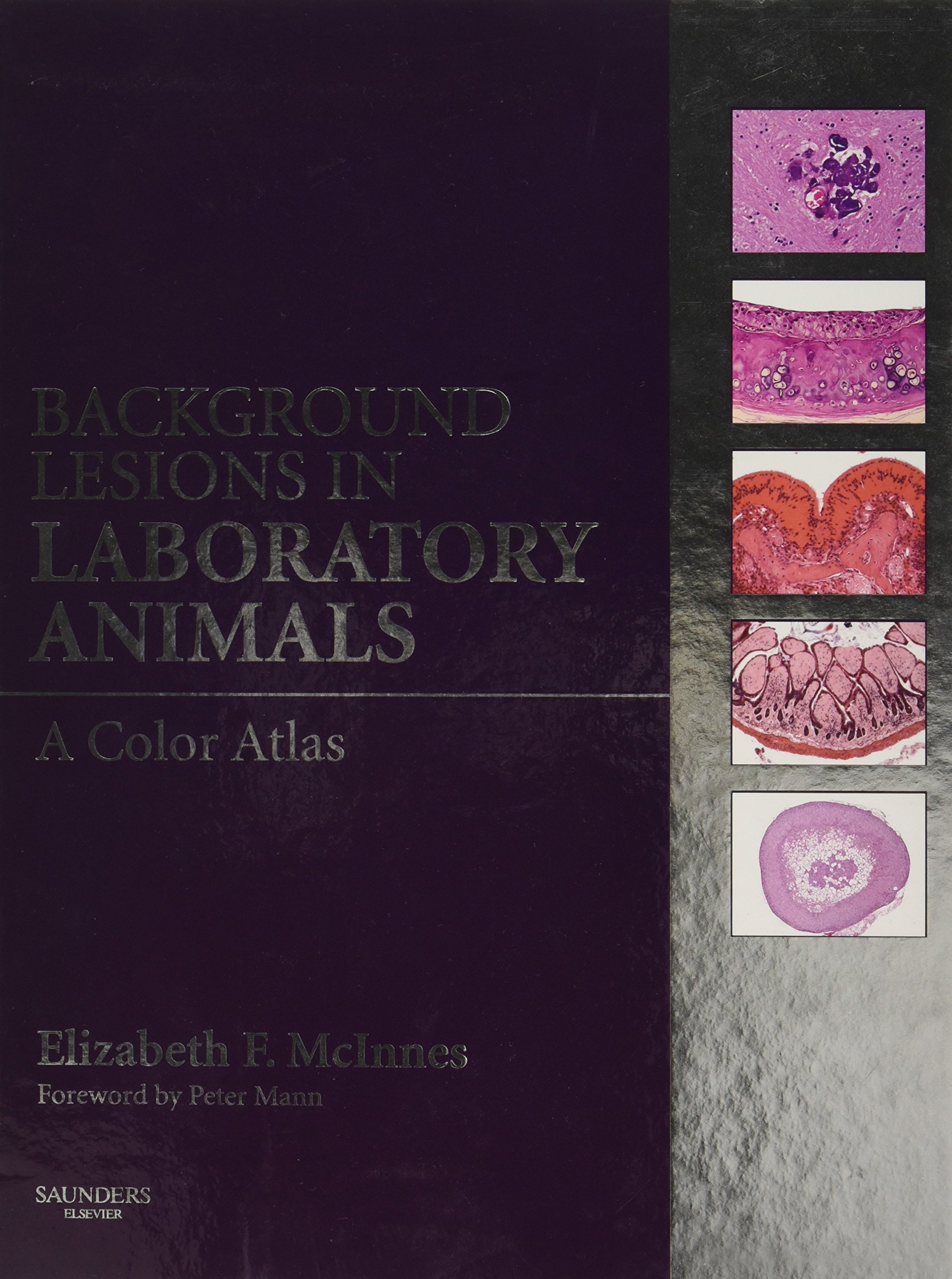 Buy Background Lesions in Laboratory Animals: A Color Atlas — BookShops.in
