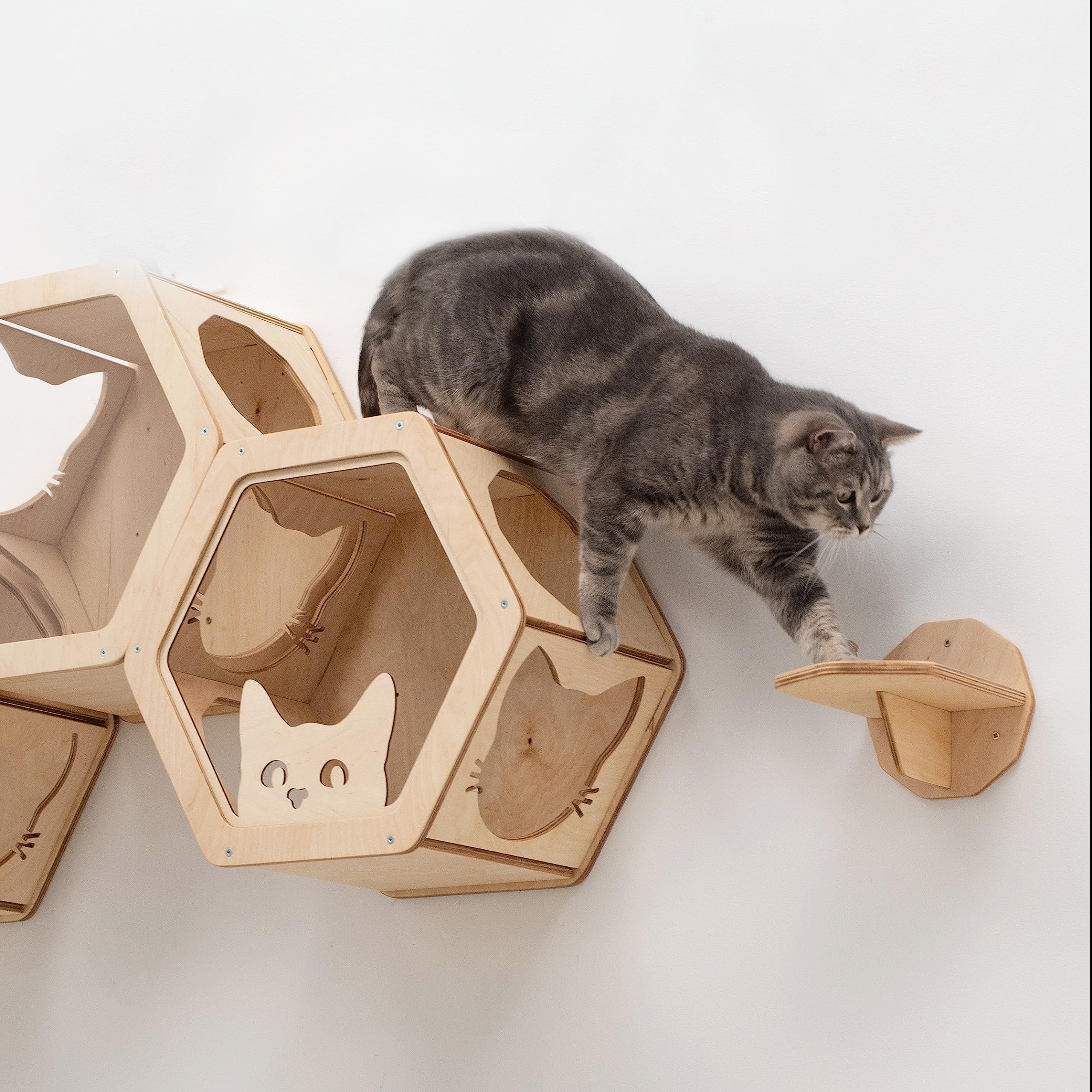 Wand-Katzenregale aus Holz, Katzen-Wandregale, Möbel – Katzenregal aus Holz, Wandmontage, Möbel – Hauskatzen, rustikale Dekoration, Katzenliebhaber-Geschenk
