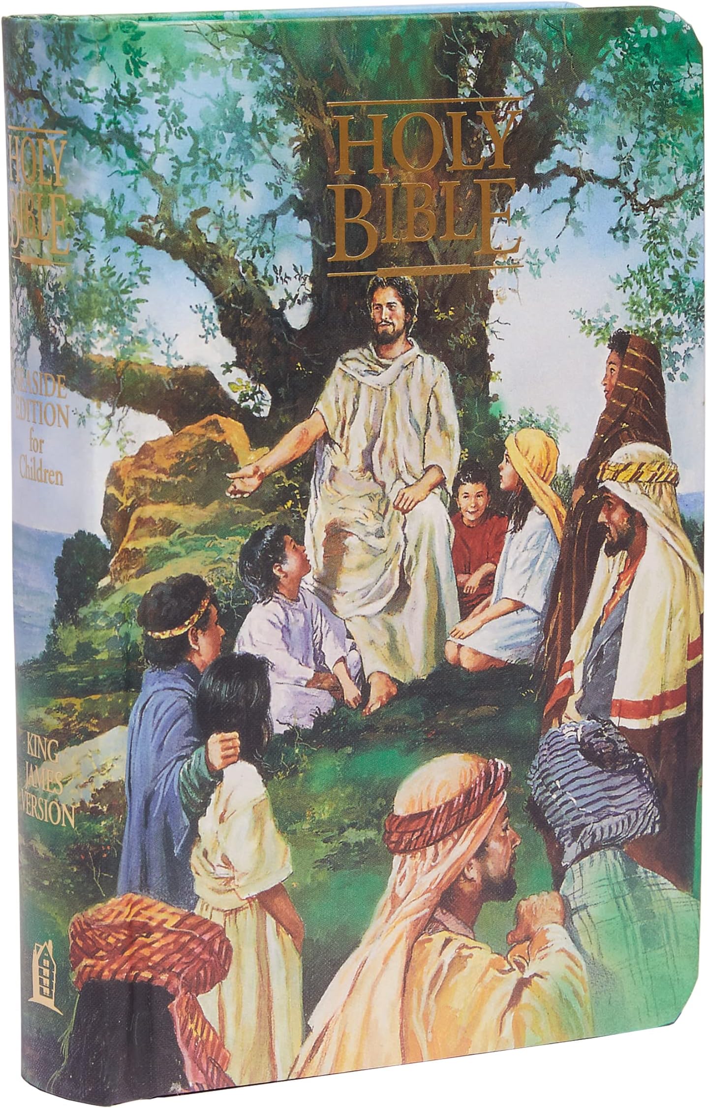 KJV Classic Children's Bible, Seaside Edition, Full-color Illustrations (Hardcover): Holy Bible, King James Version (Kjv-110)