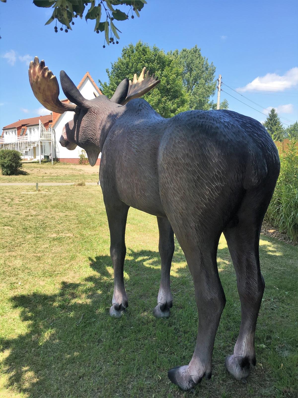 Lebensgroßer Elch Elche Lebensgroße Tiere Rudolph Rentier EDlchkuh Elchbulle Elchkalb