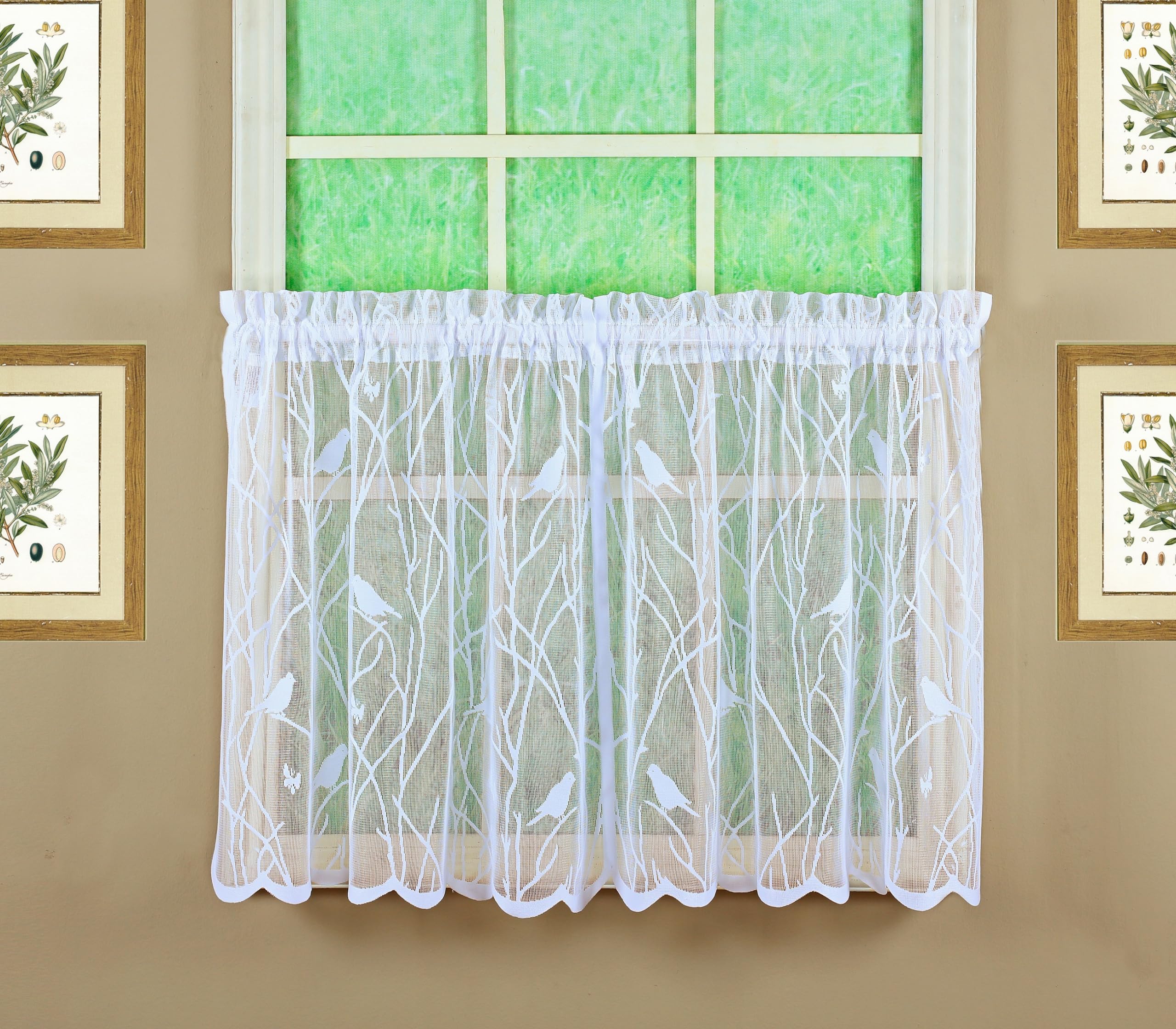 Today's Curtain, Songbird Semi-Sheer Lace Tier 24", White, 56" W x 24" L