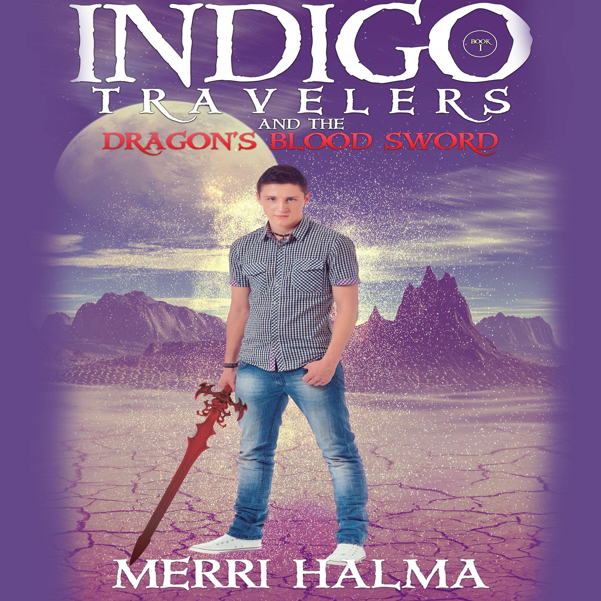 Cover art for Indigo Travelers and the Dragon's Blood Sword