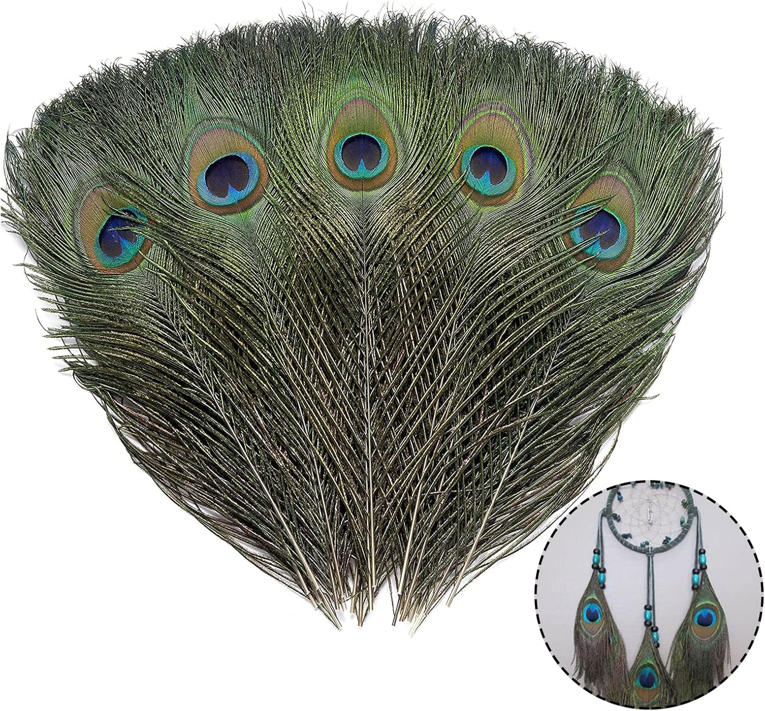 15pcs Natural Peacock Feathers Coloured Large Feathers for Vase
