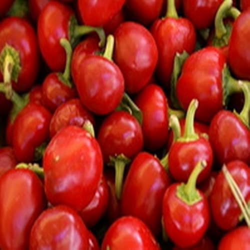 Poached Pears - //medicalbooks.filipinodoctors.org