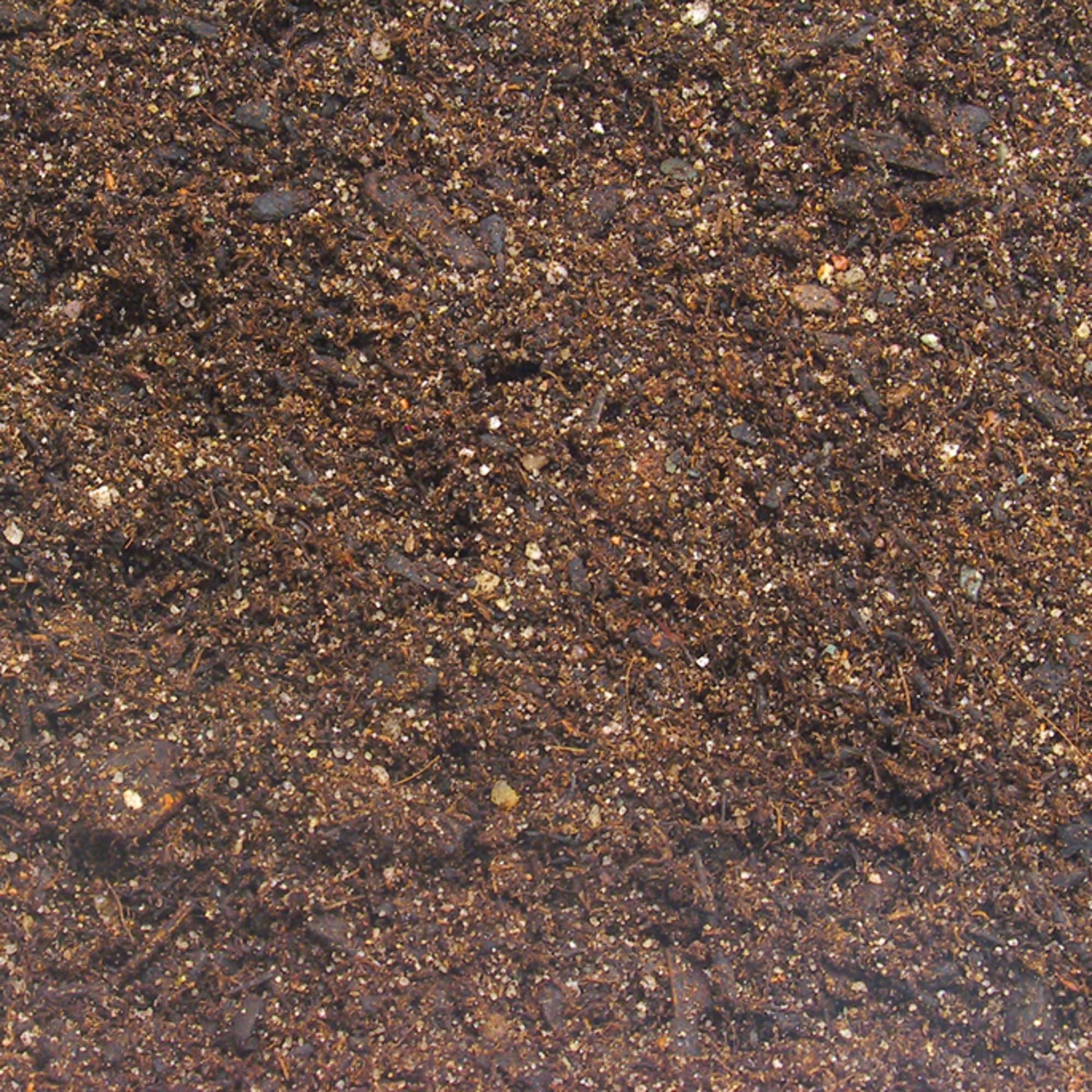 JBL TerraBasis Bodengrund für Regenwaldterrarien, Spezialerde ohne Düngezusatz, 20 l, 71012