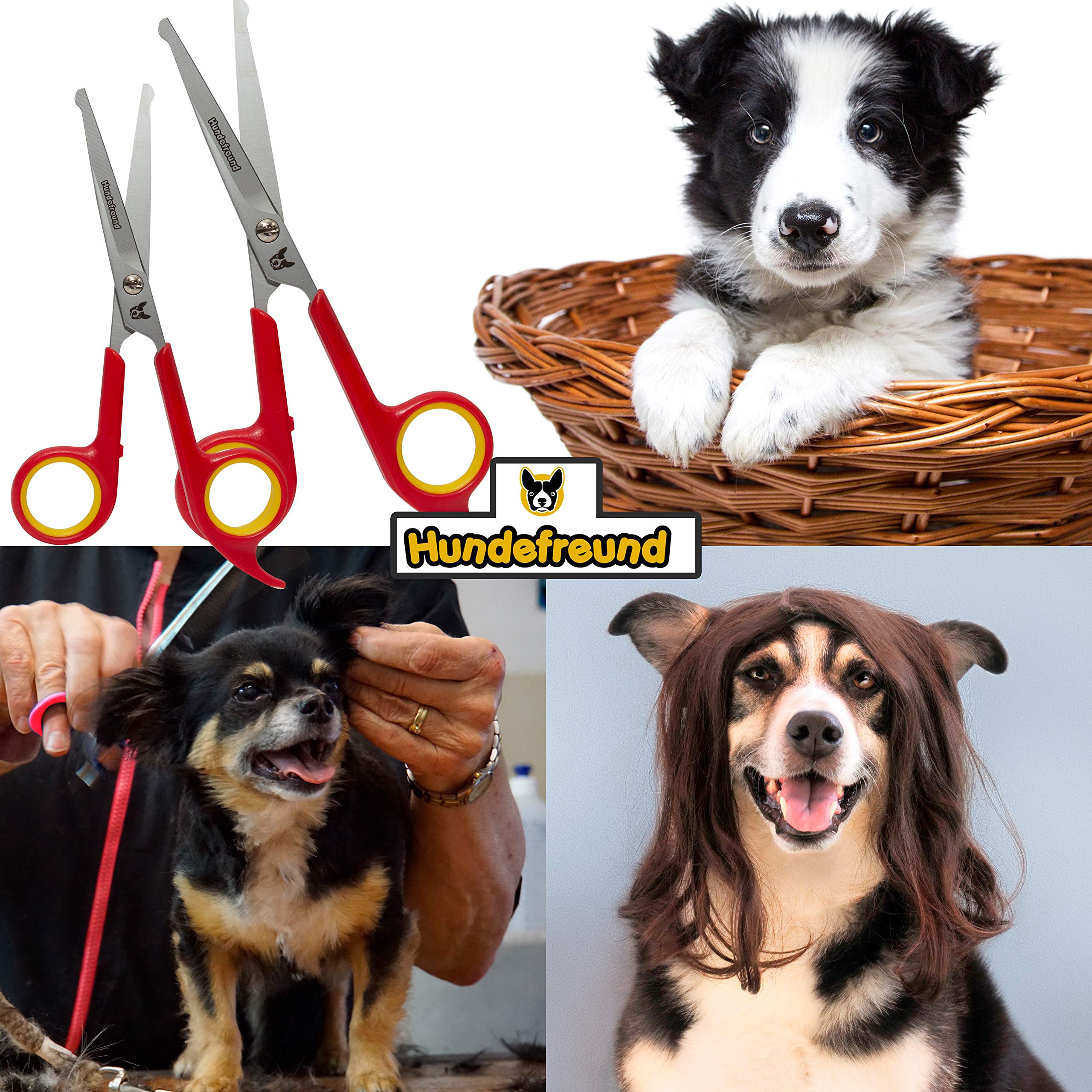 Hundefreund Hundeschere - Set mit 2 Scheren zur Fellpflege für Hunde - Fellscheren zur Hundepflege aus Edelstahl mit abgerundeter Spitze - Ideal zur Pfotenpflege und zum Haare schneiden