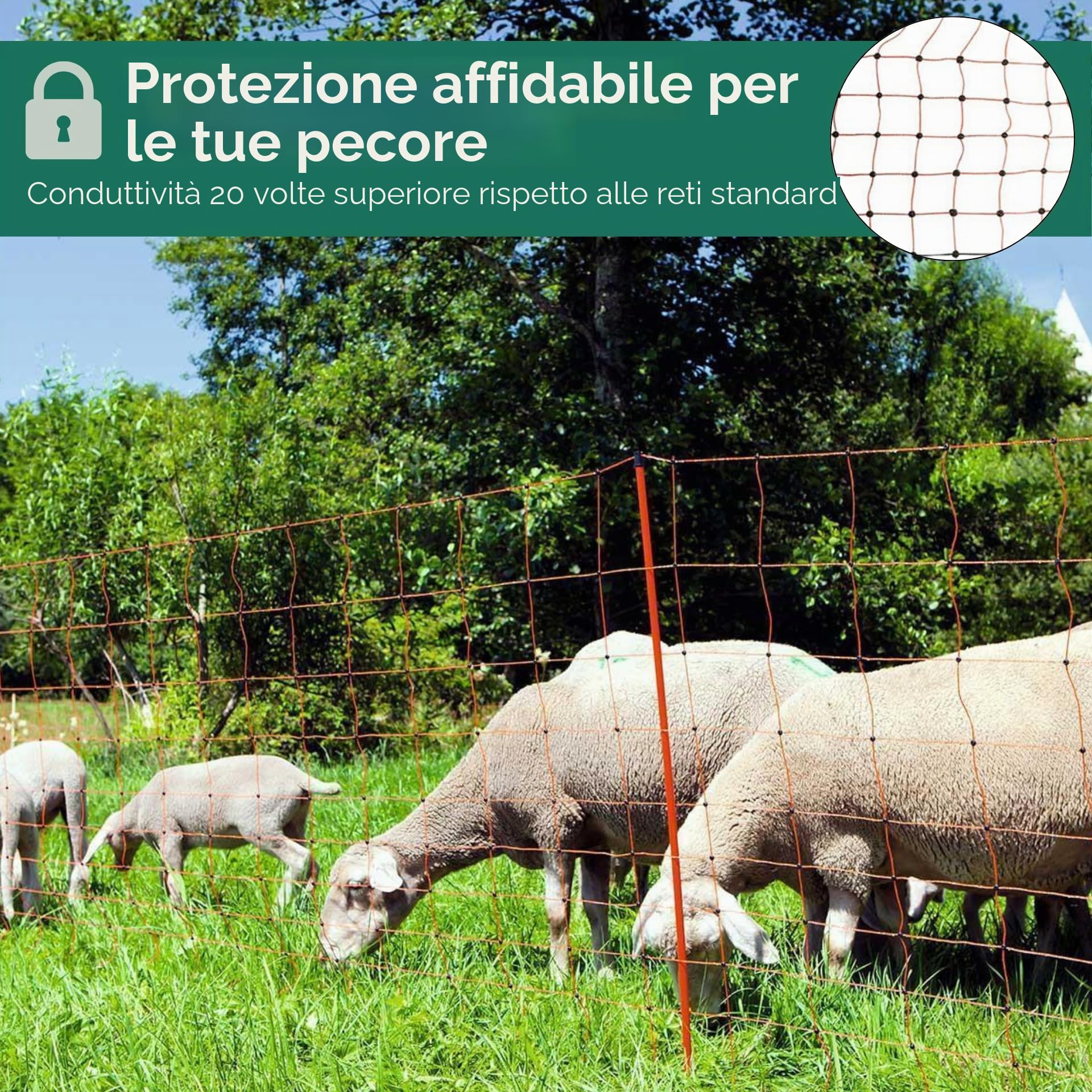 Agrarzone Rete per pecore elettrificabile Classic 50 m x 108 cm - Robusta e visibile, con doppia punta - Ideale per pecore, capre, agnelli, cani e pollame