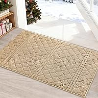 Vista 24 de REFETONE Tapete para interiores, tapete para puerta delantera y trasera de 24 x 36 pulgadas, tapetes con parte trasera de goma antideslizante