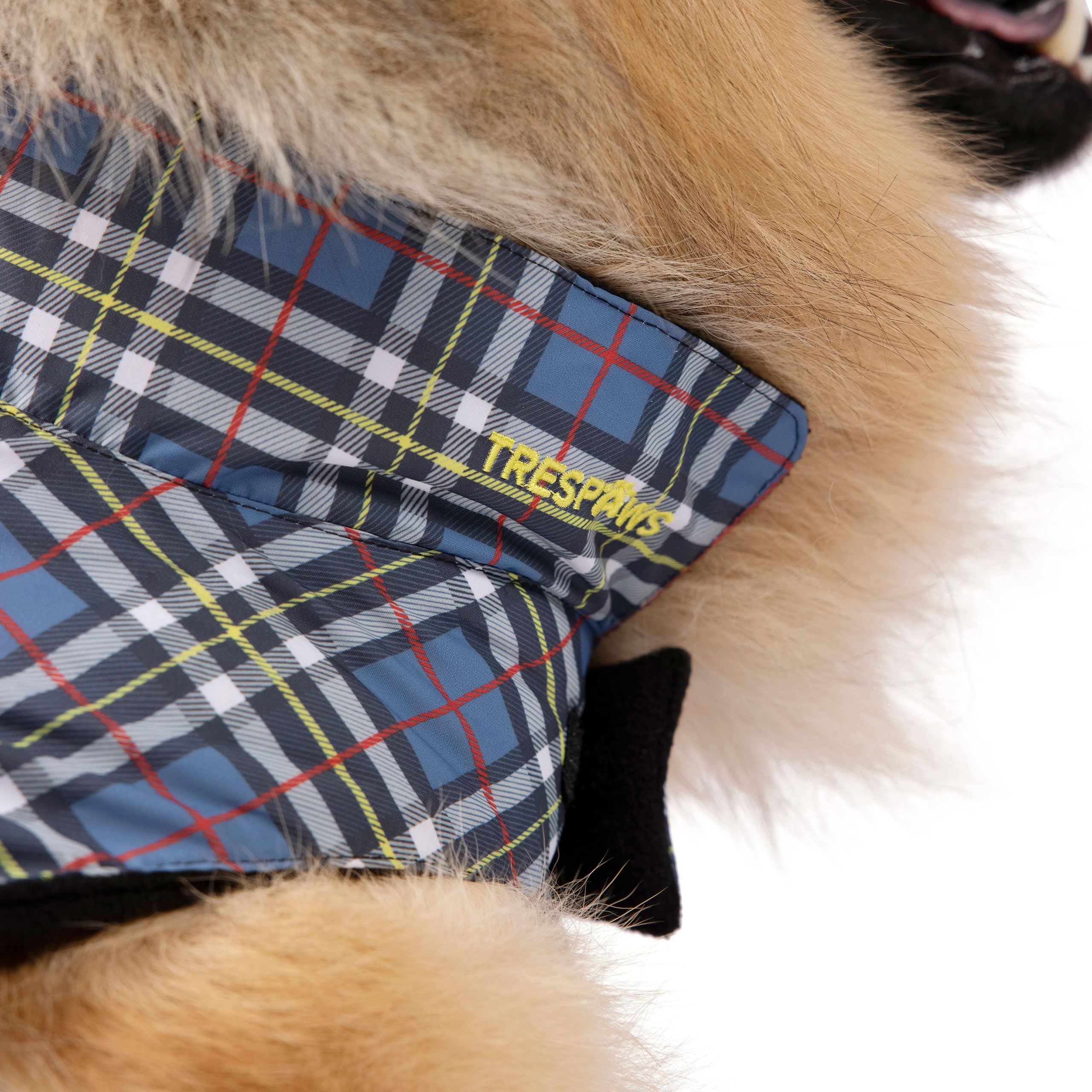 Trespass Manteau de Pluie imprimé pour Chien Charly Motif Tartan Taille M