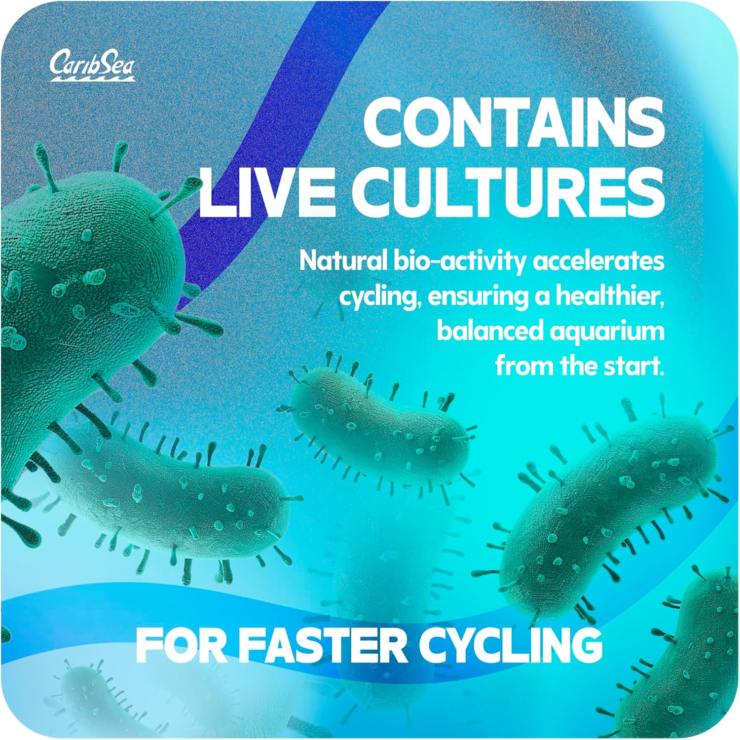 CaribSea Arag-Alive Bimini Pink Special Grade Reef Sand - 20 lbs - Natural Substrate for Marine & Reef Tanks, Promotes Coral Growth & Water Stability