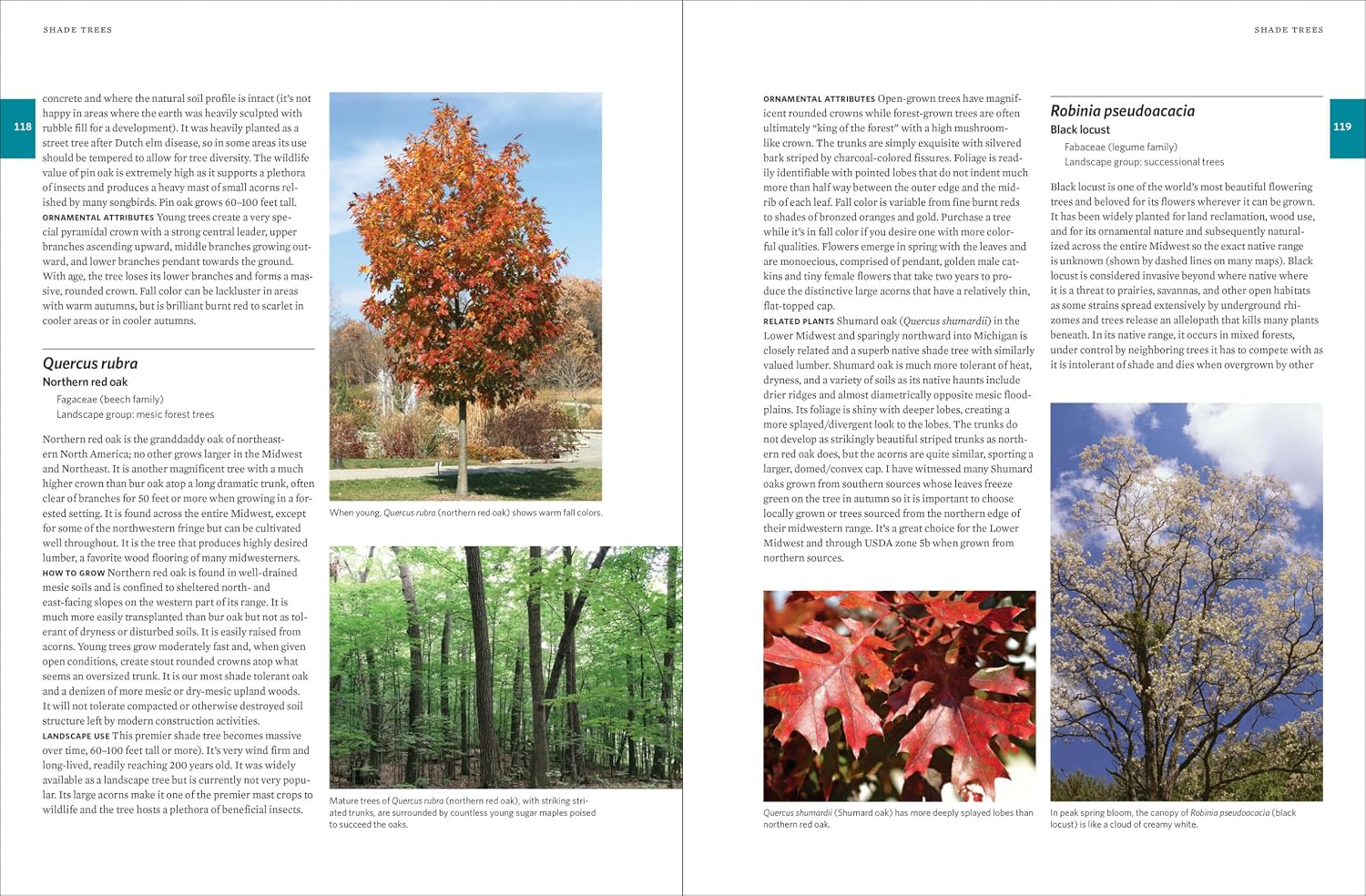 Native Plants of the Midwest: A Comprehensive Guide to the Best 500 Species for the Garden