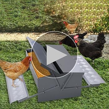 Amazon.com : Automatic Chicken Feeder Treadle Feeding Trough