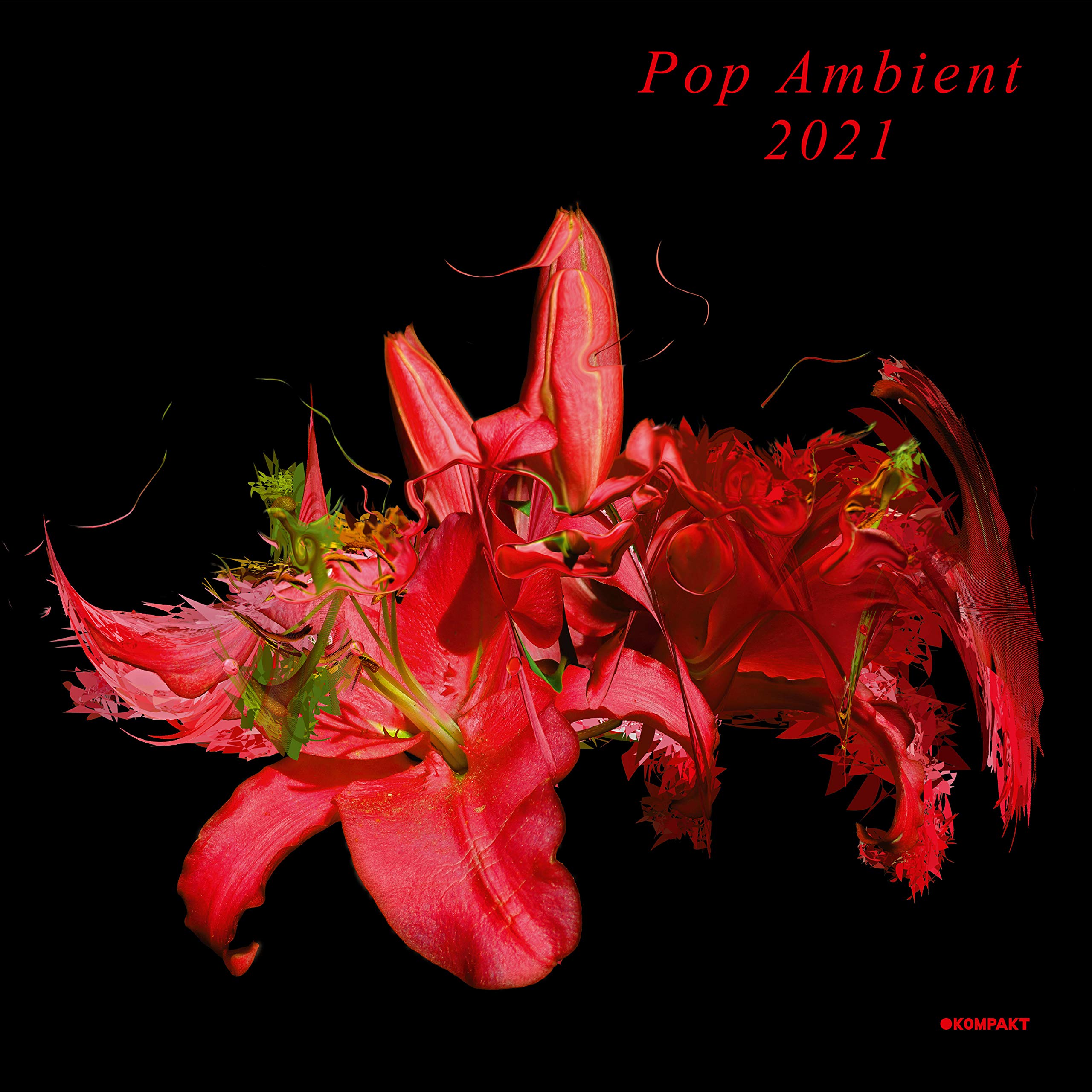 Pop Ambient 2021 [VINYL]