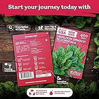 Vista 2 de KVITER 400 semillas de espinaca Bloomsdale (Spinacia oleracea) — Sin OMG y autóctonas, tolerantes al calor, corte y regrese — Semillas de vegetales