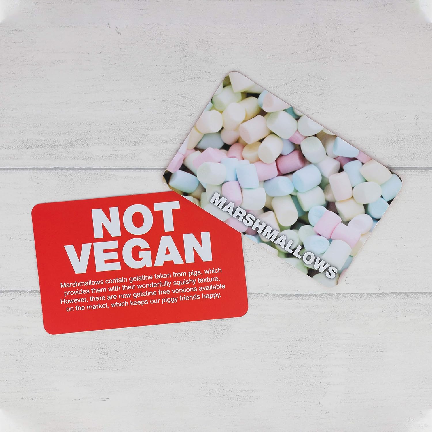 Vegan Not Vegan Game - Guess The Vegan Products Fun Flash Card Game - Fun Yes Or No Guessing Game - Suitable for Family, Kids, Teenagers & Adults