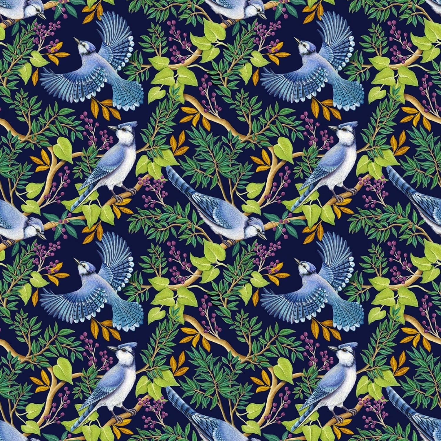 Timeless Treasures Blue Jay CD2276 Navy Blue Jay Birds on Branches Fabric